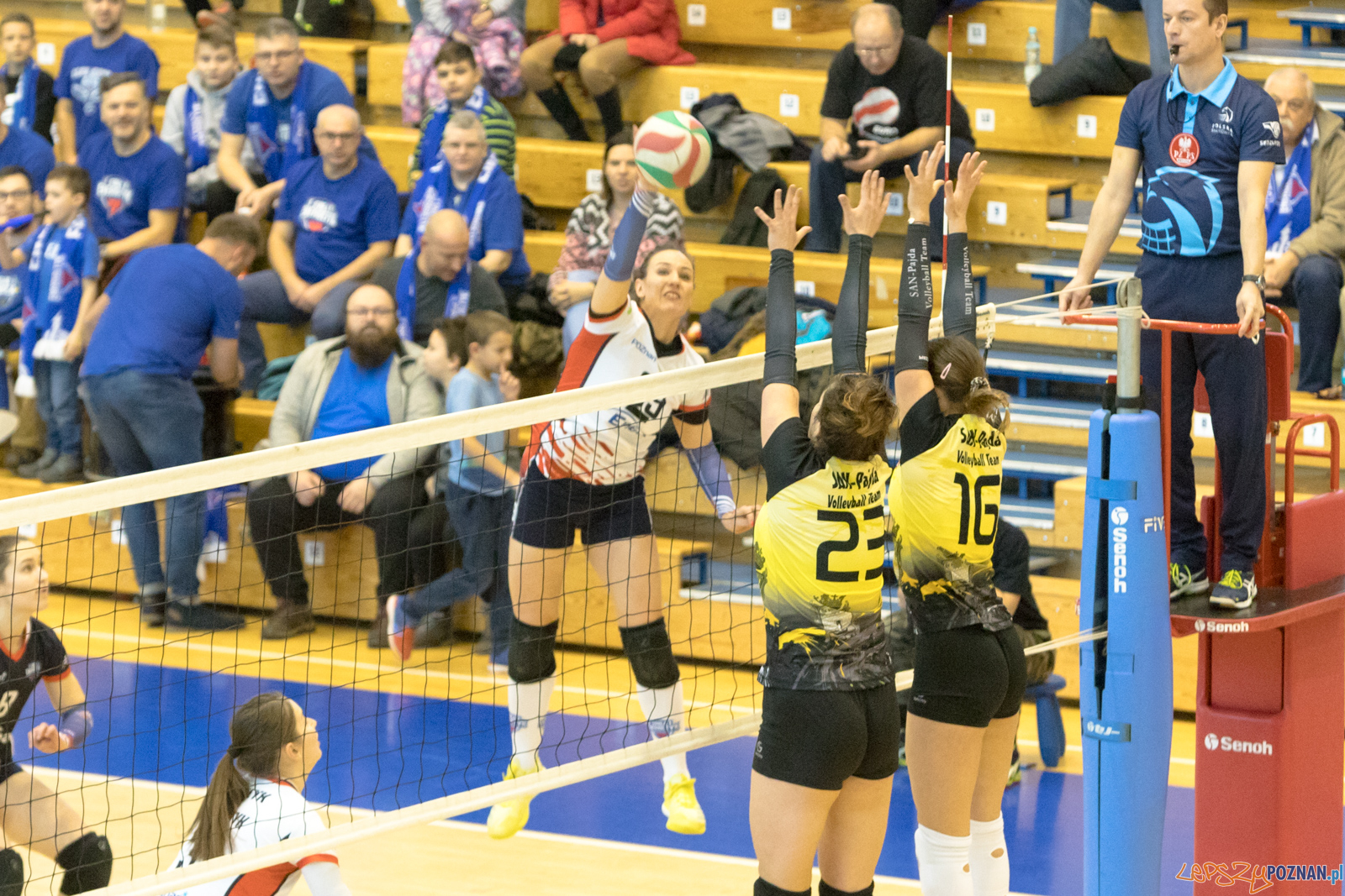 ENEA Energetyk Poznań - SAN Pajda Jarosław Foto: lepszyPOZNAN.pl/Piotr Rychter ENEA Energetyk Poznań - SAN Pajda Jarosław Foto: lepszyPOZNAN.pl/Piotr Rychter