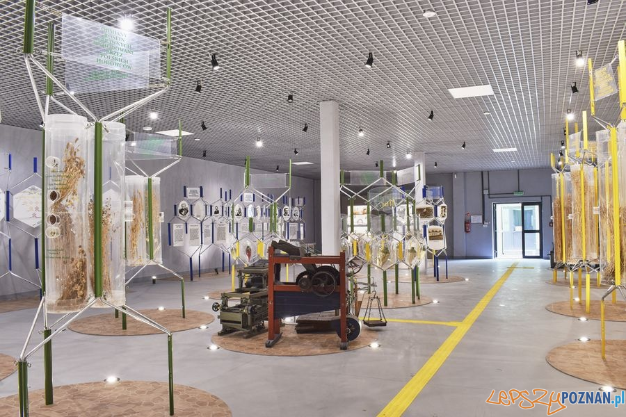 Muzeum Rolnictwa w Szreniawie (9) Foto: materiały prasowe muzeum Muzeum Rolnictwa w Szreniawie (9) Foto: materiały prasowe muzeum