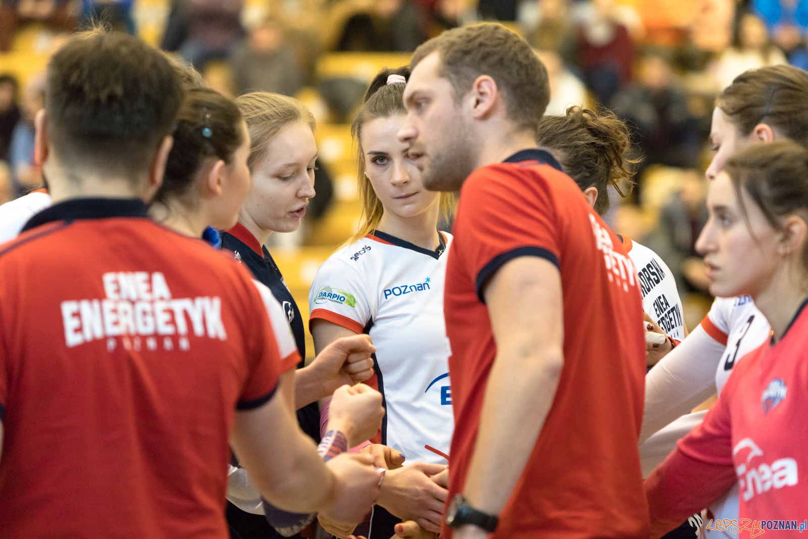 ENEA Energetyk Poznań - SAN Pajda Jarosław Foto: lepszyPOZNAN.pl/Piotr Rychter ENEA Energetyk Poznań - SAN Pajda Jarosław Foto: lepszyPOZNAN.pl/Piotr Rychter