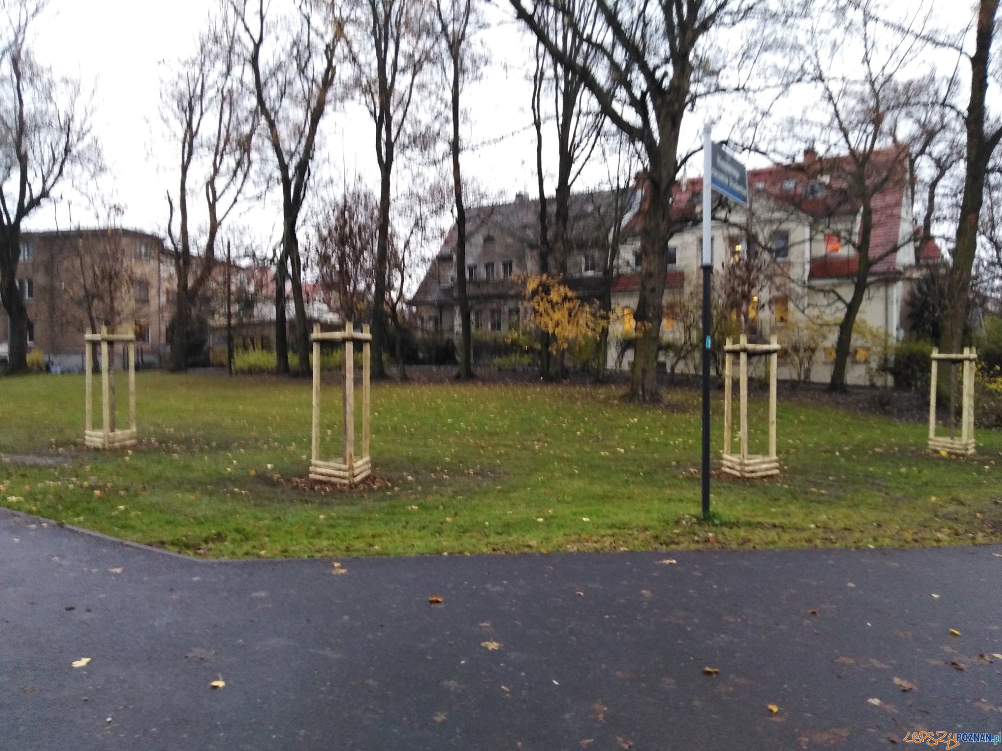 Skwer NZS - zieleń Foto: Zarząd Zieleni Miejskiej Skwer NZS - zieleń Foto: Zarząd Zieleni Miejskiej