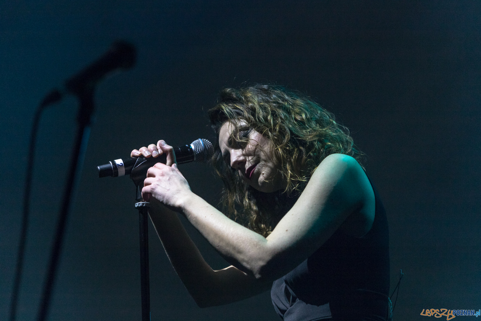 Pink Floyd History Foto: lepszyPOZNAN.pl/Piotr Rychter Pink Floyd History Foto: lepszyPOZNAN.pl/Piotr Rychter