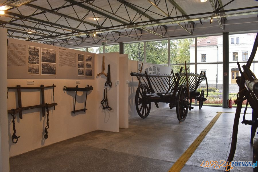 Muzeum Rolnictwa w Szreniawie (4) Foto: materiały prasowe muzeum Muzeum Rolnictwa w Szreniawie (4) Foto: materiały prasowe muzeum