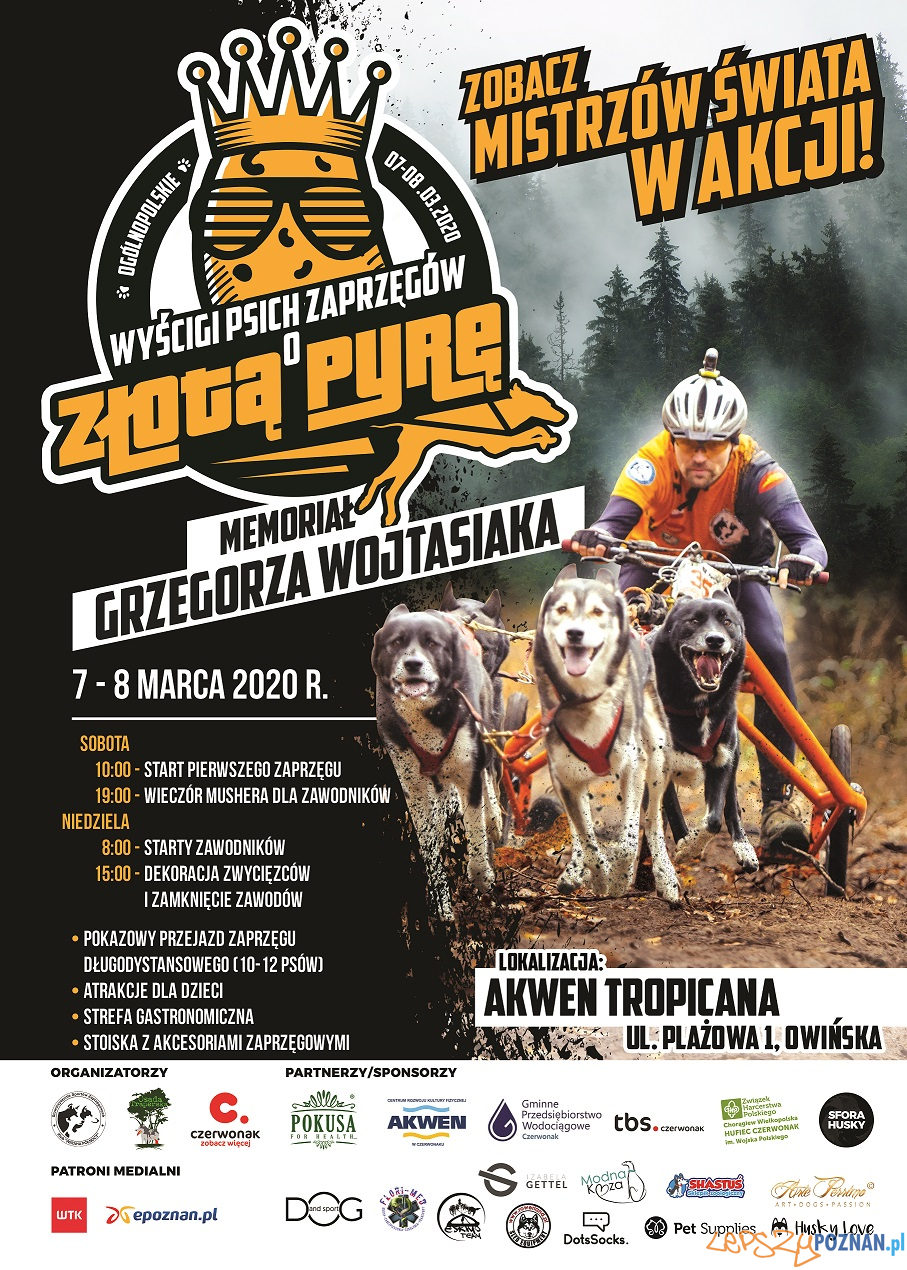 Zostań wolontariuszem ogólnopolskich zawodów psich zaprzęgów Foto: materiały prasowe Zostań wolontariuszem ogólnopolskich zawodów psich zaprzęgów Foto: materiały prasowe