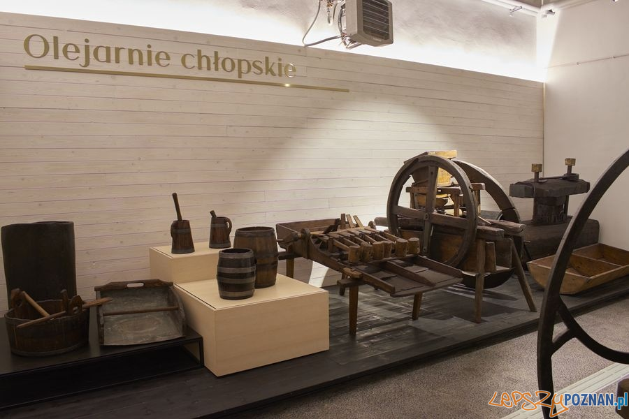 Muzeum Rolnictwa w Szreniawie (11) Foto: materiały prasowe muzeum Muzeum Rolnictwa w Szreniawie (11) Foto: materiały prasowe muzeum