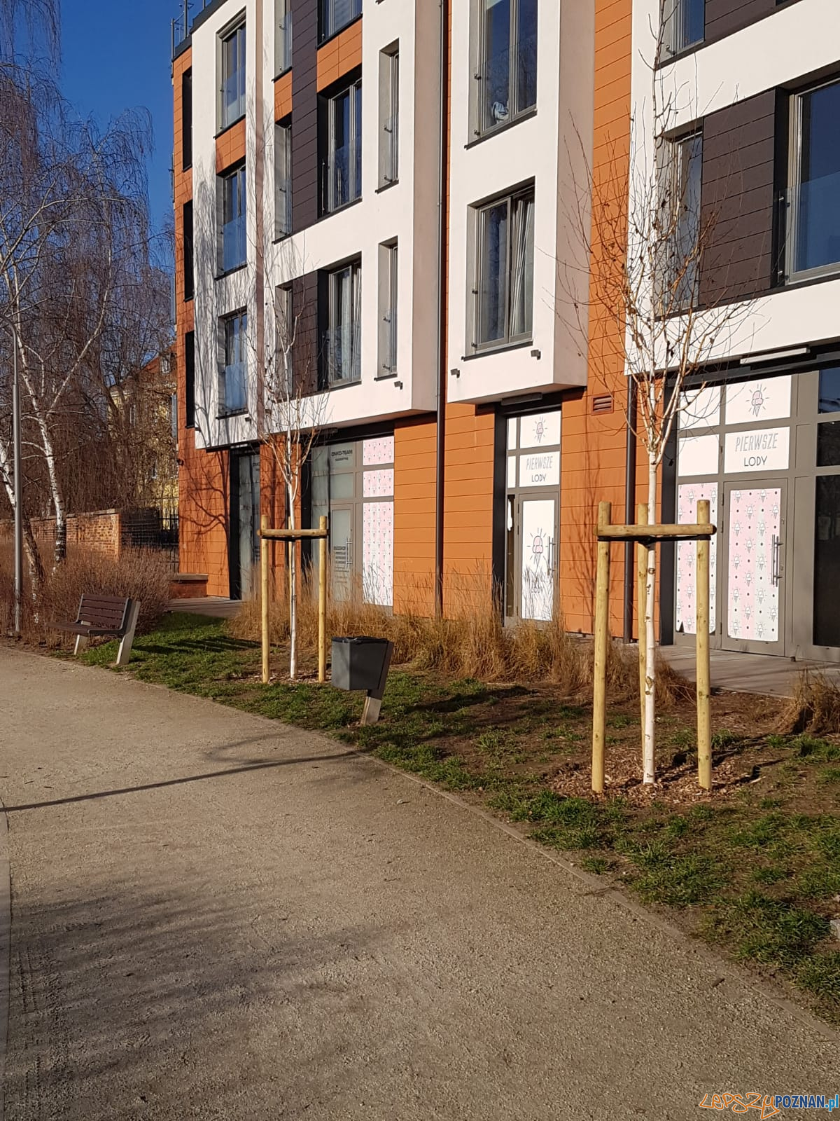 Park Stare Koryto - nowe drzewa Foto: Zarząd Zieleni Miejskiej Park Stare Koryto - nowe drzewa Foto: Zarząd Zieleni Miejskiej