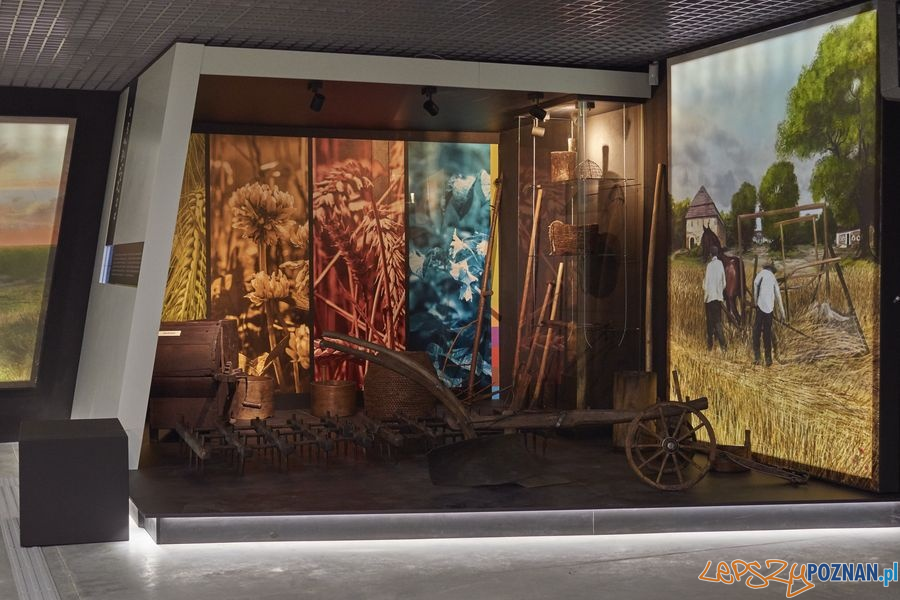 Muzeum Rolnictwa w Szreniawie (13) Foto: materiały prasowe muzeum Muzeum Rolnictwa w Szreniawie (13) Foto: materiały prasowe muzeum