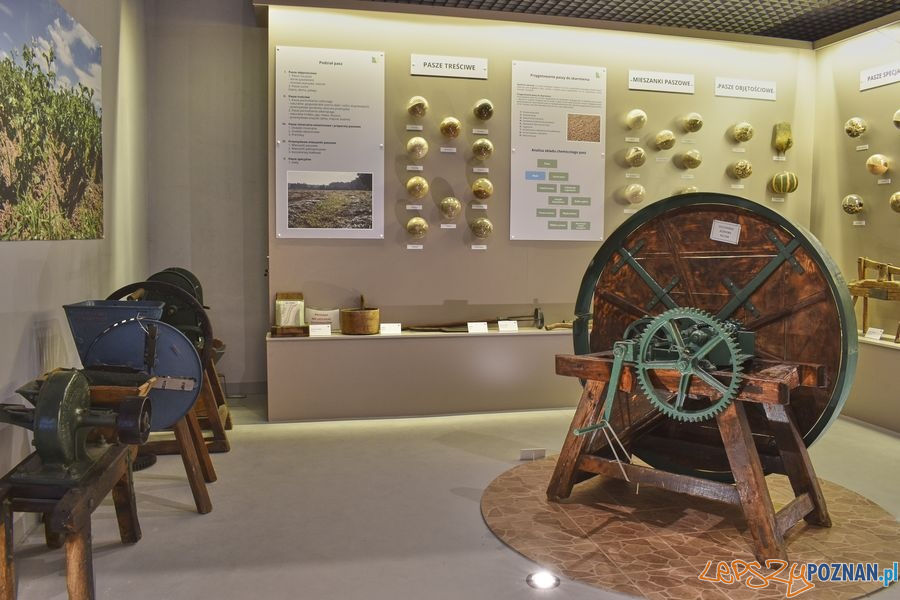 Muzeum Rolnictwa w Szreniawie (7) Foto: materiały prasowe muzeum Muzeum Rolnictwa w Szreniawie (7) Foto: materiały prasowe muzeum