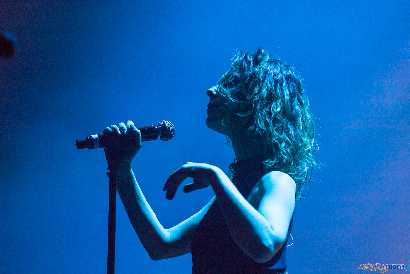 Pink Floyd History Foto: lepszyPOZNAN.pl/Piotr Rychter Pink Floyd History Foto: lepszyPOZNAN.pl/Piotr Rychter