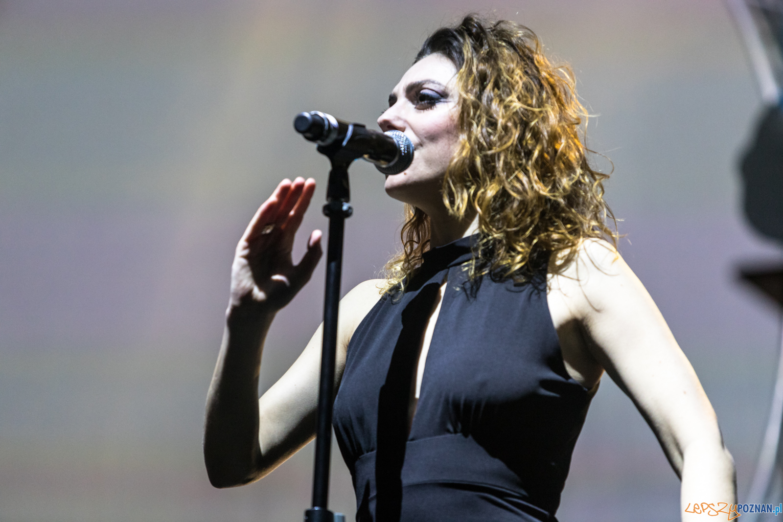 Pink Floyd History Foto: lepszyPOZNAN.pl/Piotr Rychter Pink Floyd History Foto: lepszyPOZNAN.pl/Piotr Rychter