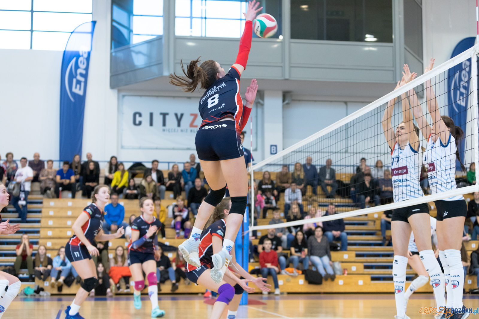 Mistrzostwa Wielkopolski Juniorek - Enea Energetyk Poznań - Ene Foto: lepszyPOZNAN.pl/Piotr Rychter Mistrzostwa Wielkopolski Juniorek - Enea Energetyk Poznań - Ene Foto: lepszyPOZNAN.pl/Piotr Rychter