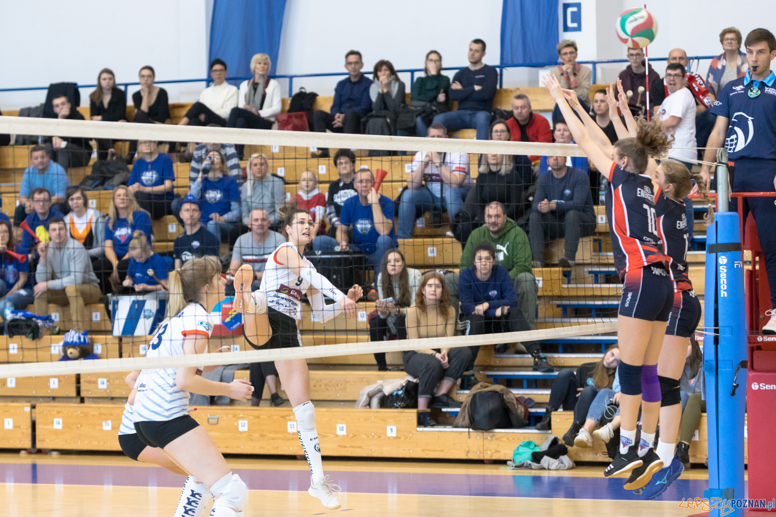 Mistrzostwa Wielkopolski Juniorek - Enea Energetyk Poznań - Ene Foto: lepszyPOZNAN.pl/Piotr Rychter Mistrzostwa Wielkopolski Juniorek - Enea Energetyk Poznań - Ene Foto: lepszyPOZNAN.pl/Piotr Rychter