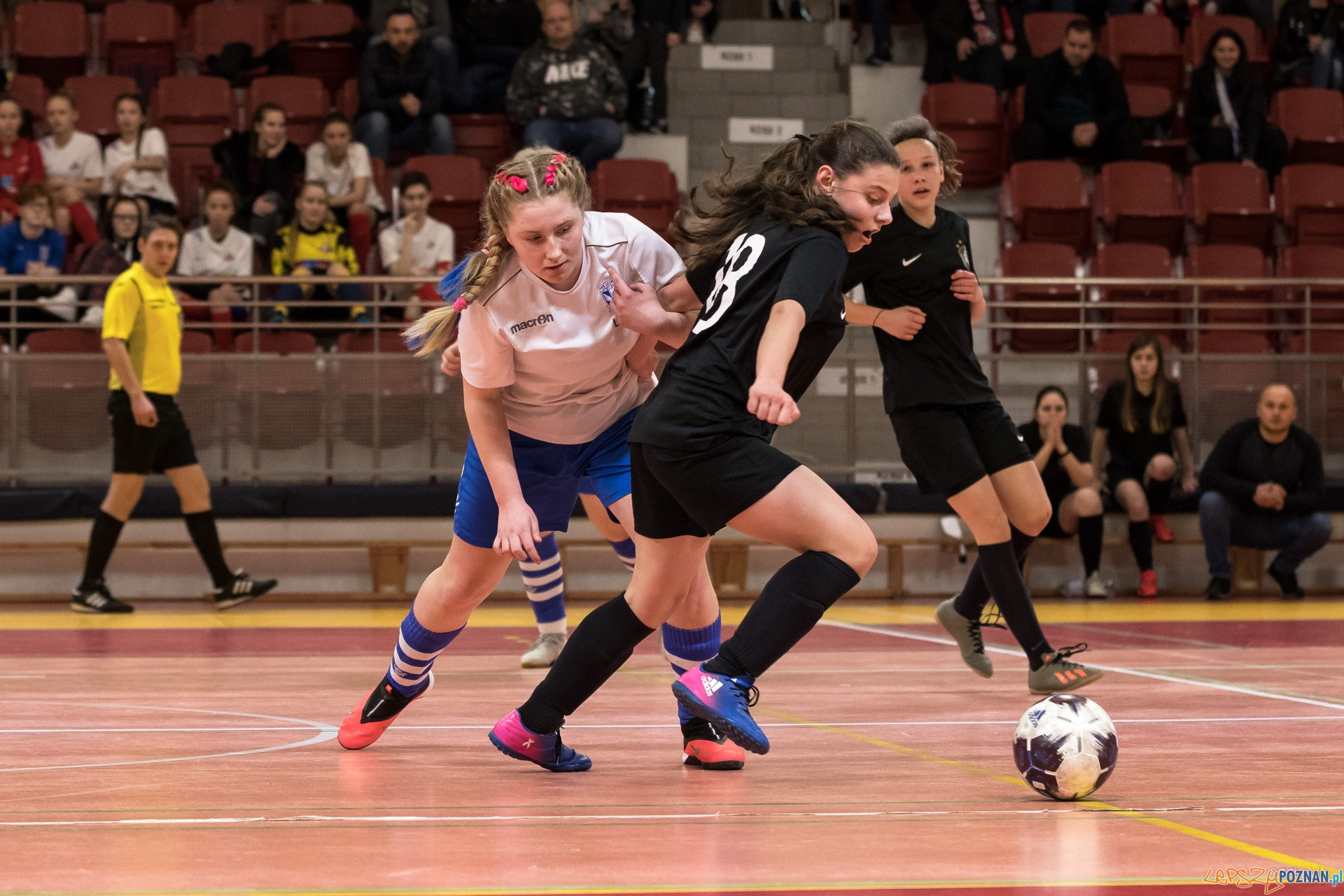 Halowe Mistrzostwa Wielkopolski w piłce nożnej dziewcząt Foto: Michał Kościelak Halowe Mistrzostwa Wielkopolski w piłce nożnej dziewcząt Foto: Michał Kościelak