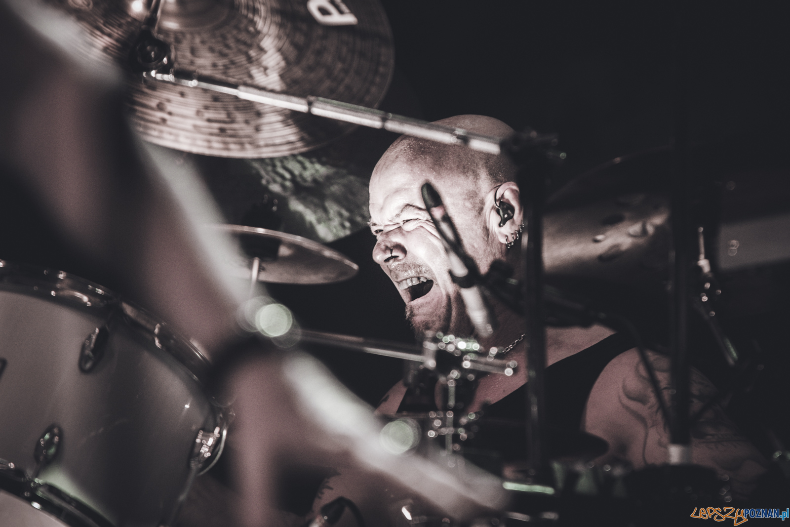 untitled-8121 Foto: Ewelina Jaskowiak untitled-8121 Foto: Ewelina Jaskowiak