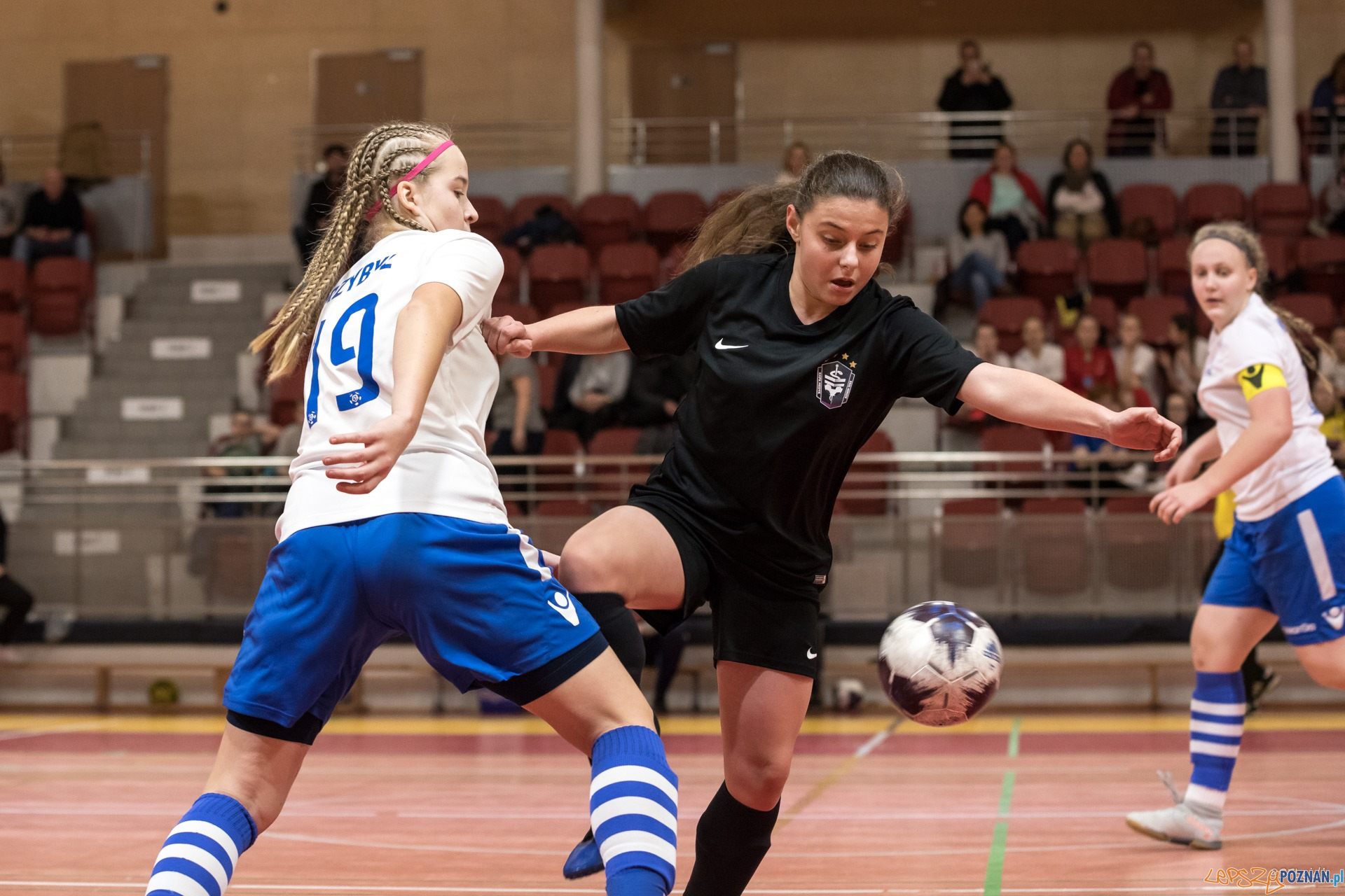 Halowe Mistrzostwa Wielkopolski w piłce nożnej dziewcząt Foto: Michał Kościelak Halowe Mistrzostwa Wielkopolski w piłce nożnej dziewcząt Foto: Michał Kościelak