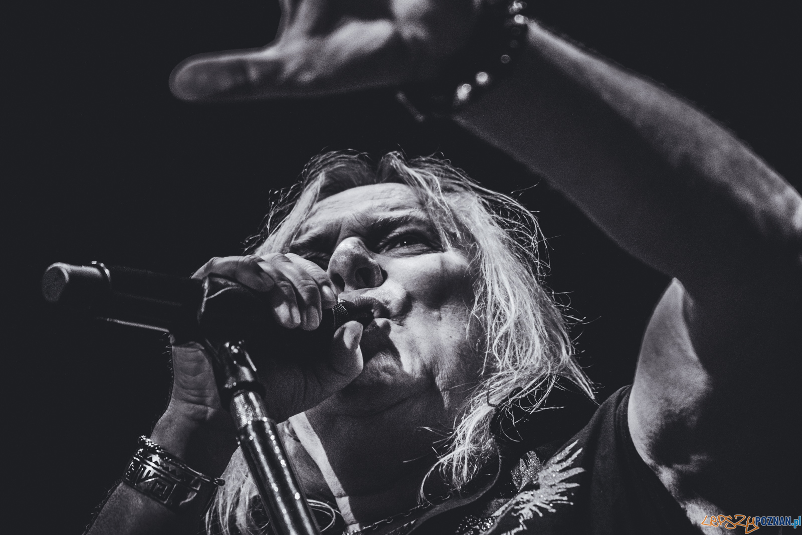 untitled-8051 Foto: Ewelina Jaskowiak untitled-8051 Foto: Ewelina Jaskowiak