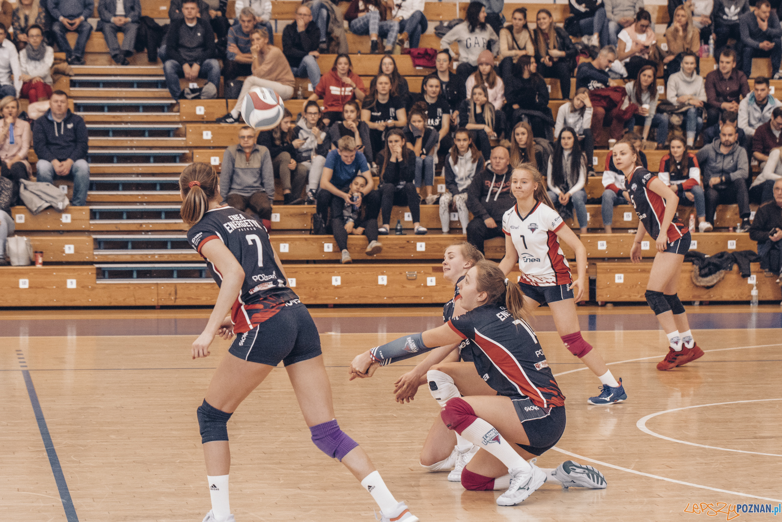 Mistrzostwa Wielkopolski Juniorek Foto: lepszyPOZNAN.pl / Ewelina Jaśkowiak Mistrzostwa Wielkopolski Juniorek Foto: lepszyPOZNAN.pl / Ewelina Jaśkowiak