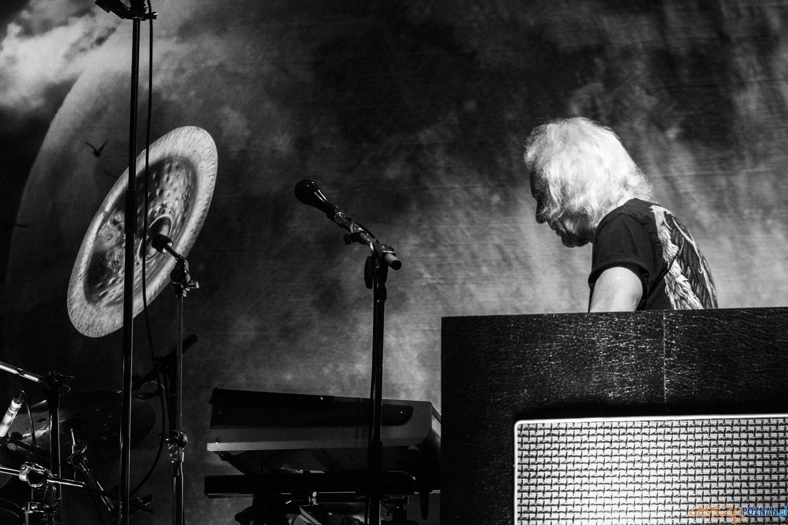 untitled-8182 Foto: Ewelina Jaskowiak untitled-8182 Foto: Ewelina Jaskowiak