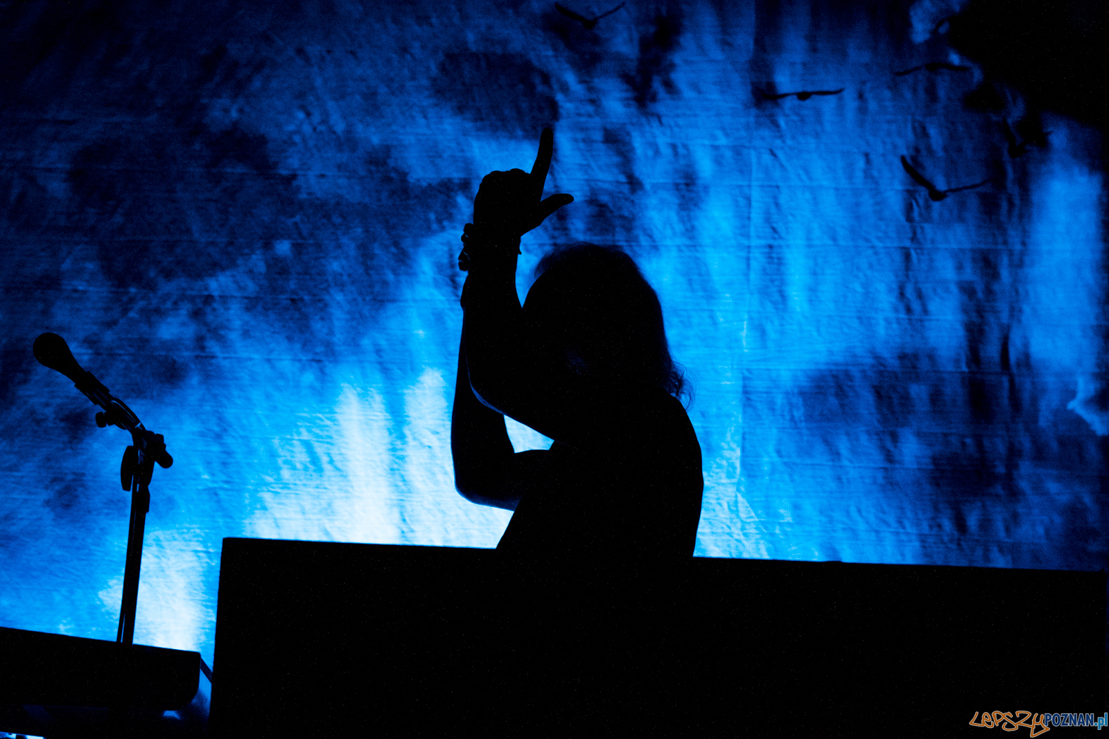 untitled-8184 Foto: Ewelina Jaskowiak untitled-8184 Foto: Ewelina Jaskowiak