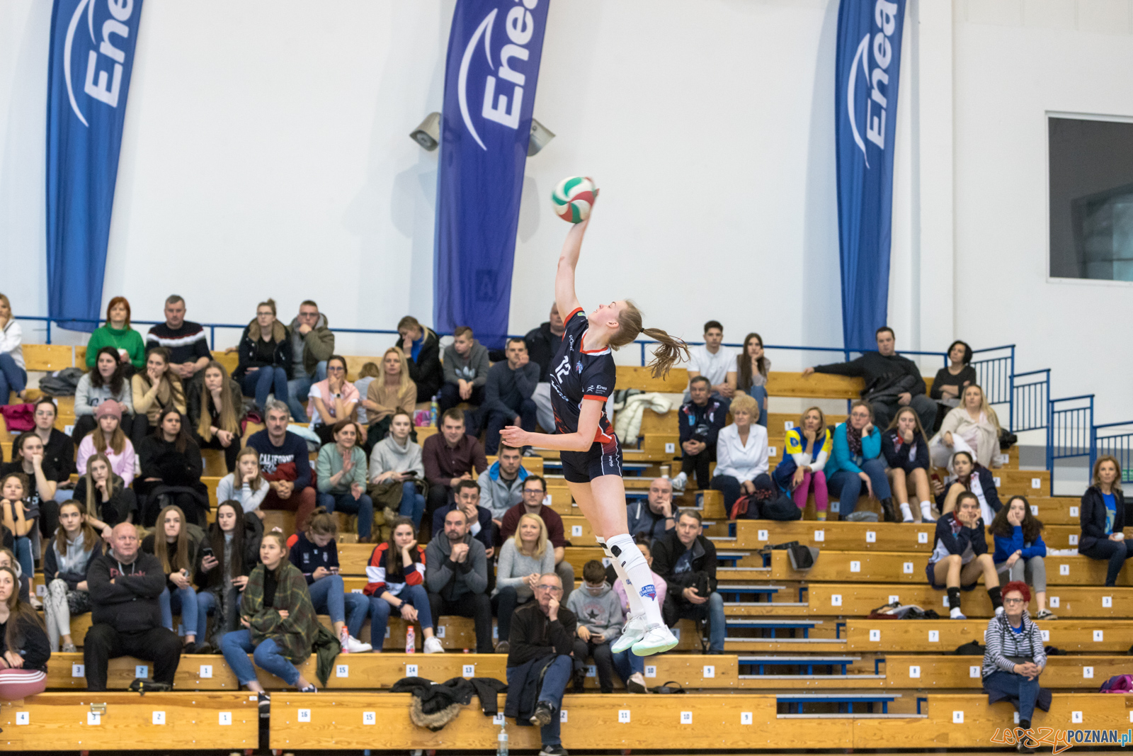 Mistrzostwa Wielkopolski Juniorek - Enea Energetyk Poznań - Ene Foto: lepszyPOZNAN.pl/Piotr Rychter Mistrzostwa Wielkopolski Juniorek - Enea Energetyk Poznań - Ene Foto: lepszyPOZNAN.pl/Piotr Rychter