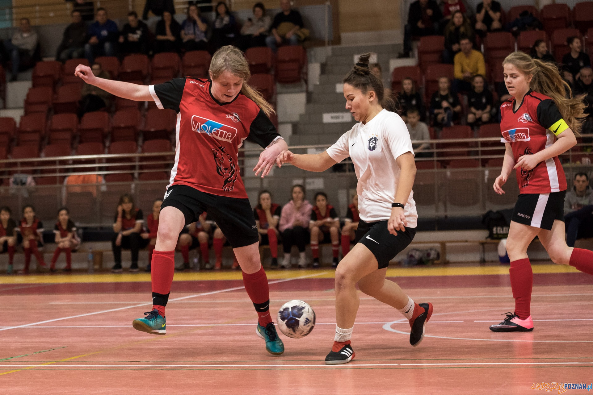 Halowe Mistrzostwa Wielkopolski w piłce nożnej dziewcząt Foto: Michał Kościelak Halowe Mistrzostwa Wielkopolski w piłce nożnej dziewcząt Foto: Michał Kościelak
