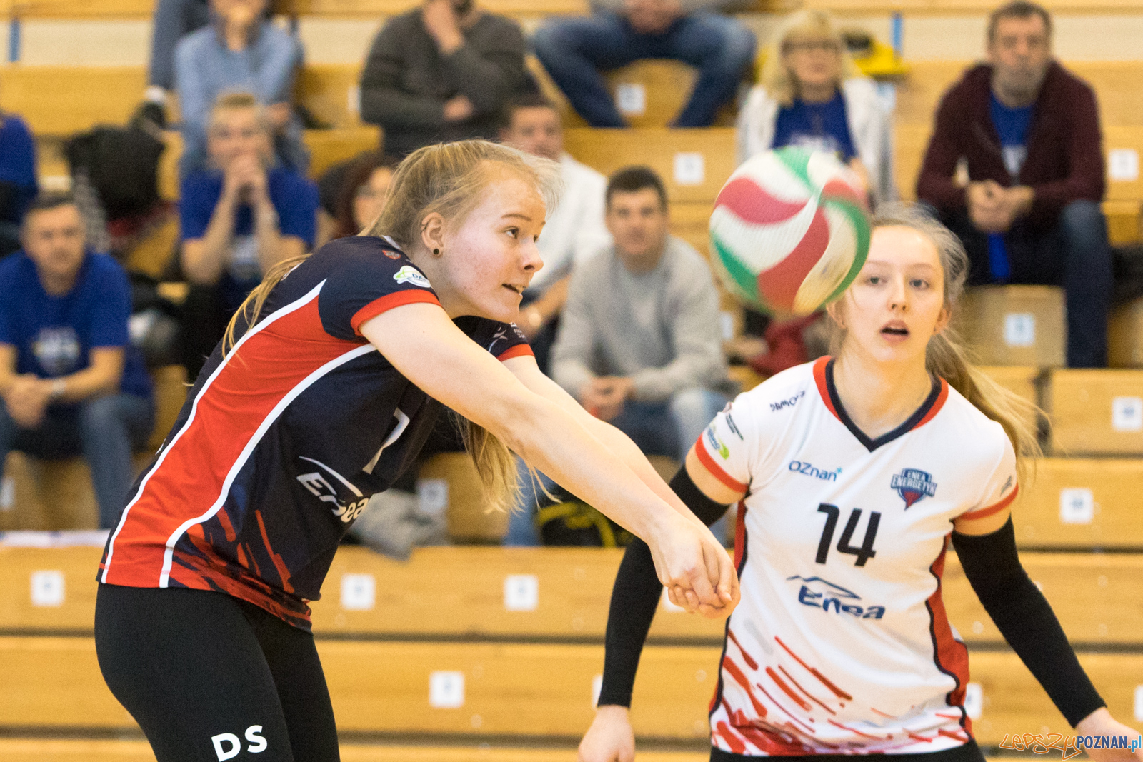 Enea Energetyk Poznań - UKS Szamotulanin Szamotuły Foto: lepszyPOZNAN.pl/Piotr Rychter Enea Energetyk Poznań - UKS Szamotulanin Szamotuły Foto: lepszyPOZNAN.pl/Piotr Rychter