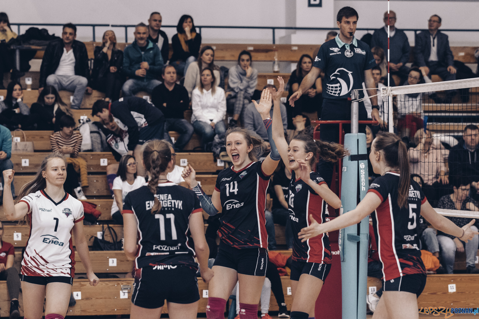 Mistrzostwa Wielkopolski Juniorek Foto: lepszyPOZNAN.pl / Ewelina Jaśkowiak Mistrzostwa Wielkopolski Juniorek Foto: lepszyPOZNAN.pl / Ewelina Jaśkowiak