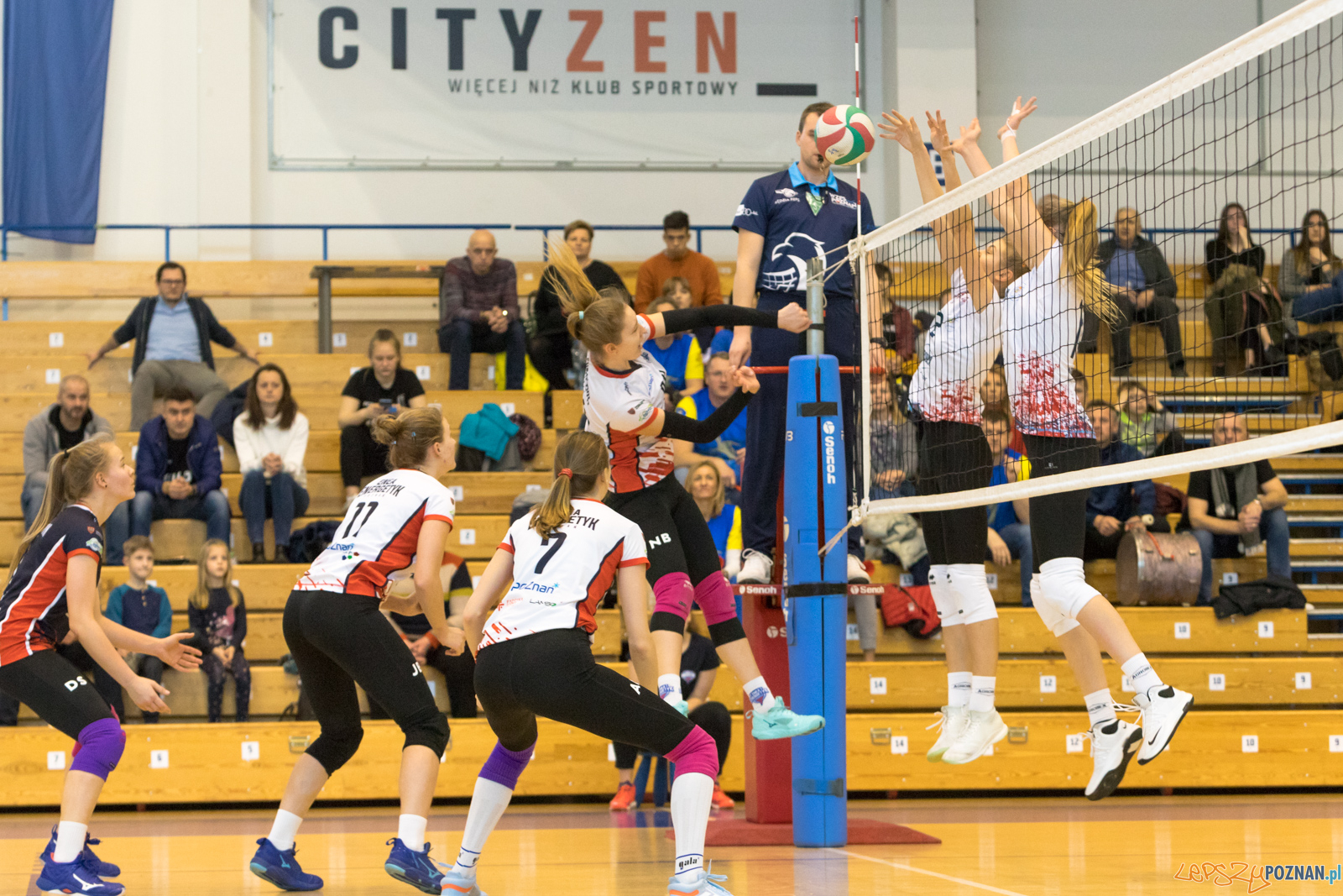 Enea Energetyk Poznań - UKS Szamotulanin Szamotuły Foto: lepszyPOZNAN.pl/Piotr Rychter Enea Energetyk Poznań - UKS Szamotulanin Szamotuły Foto: lepszyPOZNAN.pl/Piotr Rychter