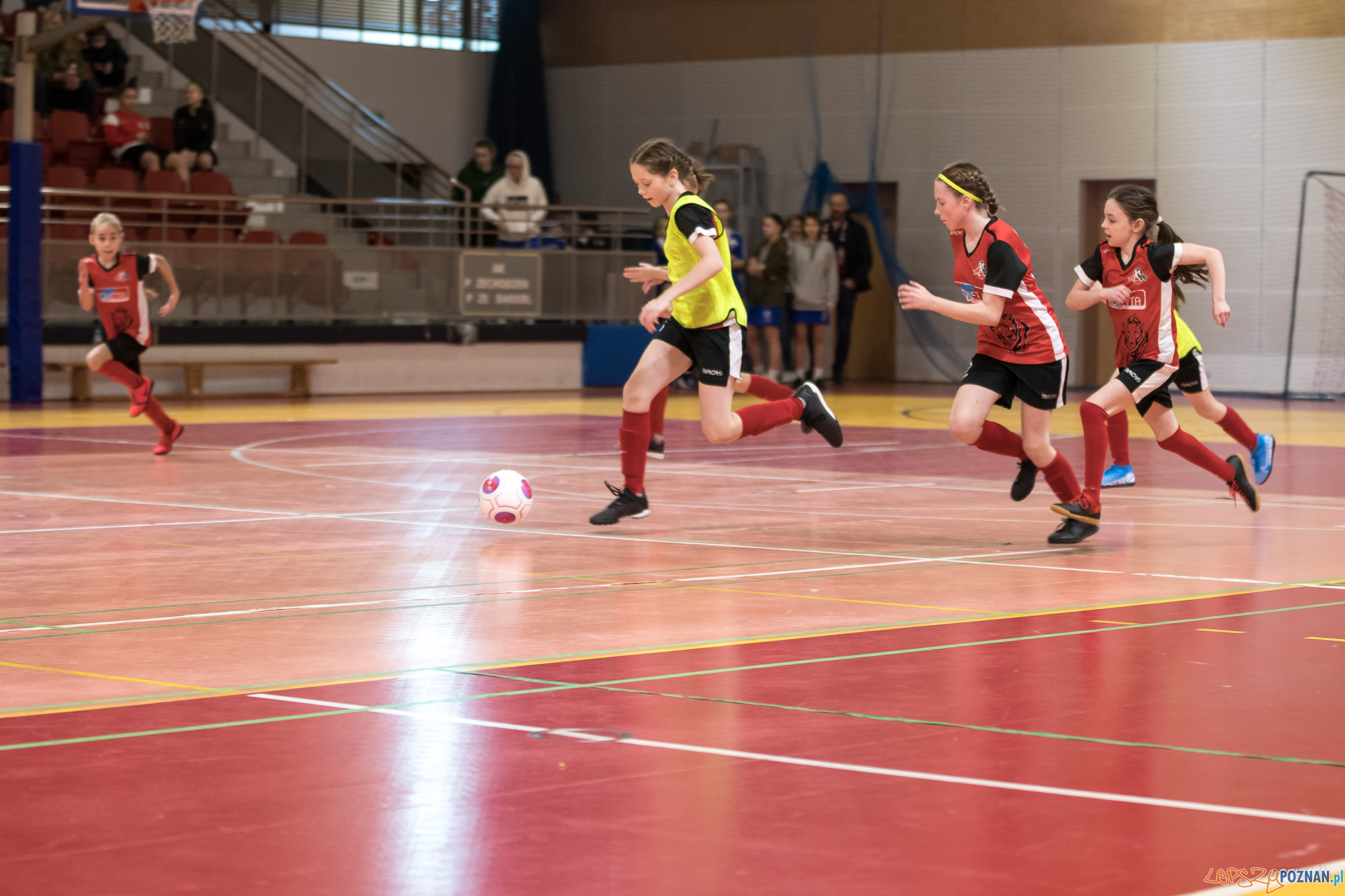 Halowe Mistrzostwa Wielkopolski w piłce nożnej dziewcząt Foto: Michał Kościelak Halowe Mistrzostwa Wielkopolski w piłce nożnej dziewcząt Foto: Michał Kościelak