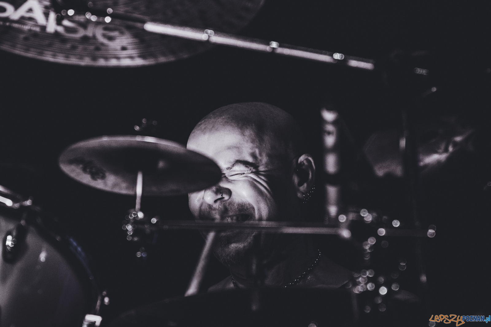 untitled-8072 Foto: Ewelina Jaskowiak untitled-8072 Foto: Ewelina Jaskowiak