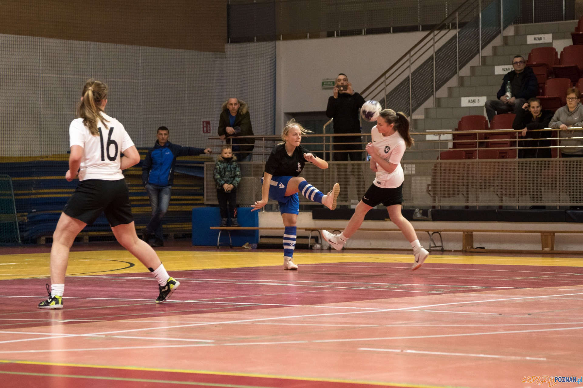 Halowe Mistrzostwa Wielkopolski w piłce nożnej dziewcząt Foto: Michał Kościelak Halowe Mistrzostwa Wielkopolski w piłce nożnej dziewcząt Foto: Michał Kościelak