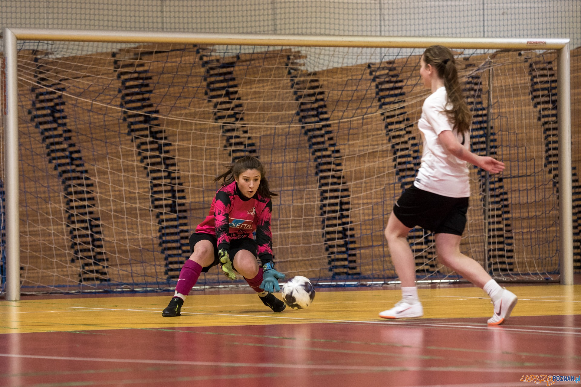 Halowe Mistrzostwa Wielkopolski w piłce nożnej dziewcząt Foto: Michał Kościelak Halowe Mistrzostwa Wielkopolski w piłce nożnej dziewcząt Foto: Michał Kościelak