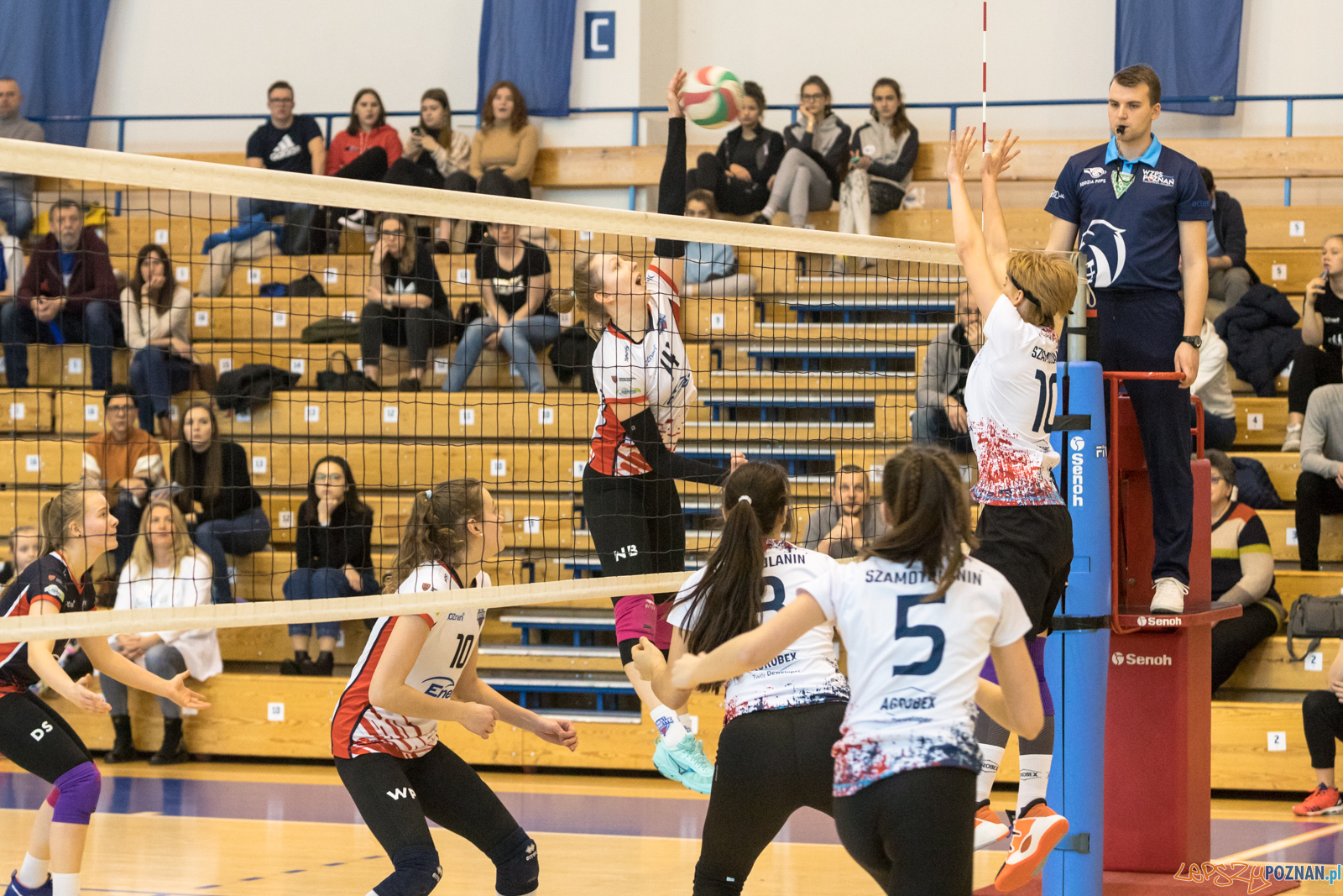 Enea Energetyk Poznań - UKS Szamotulanin Szamotuły Foto: lepszyPOZNAN.pl/Piotr Rychter Enea Energetyk Poznań - UKS Szamotulanin Szamotuły Foto: lepszyPOZNAN.pl/Piotr Rychter