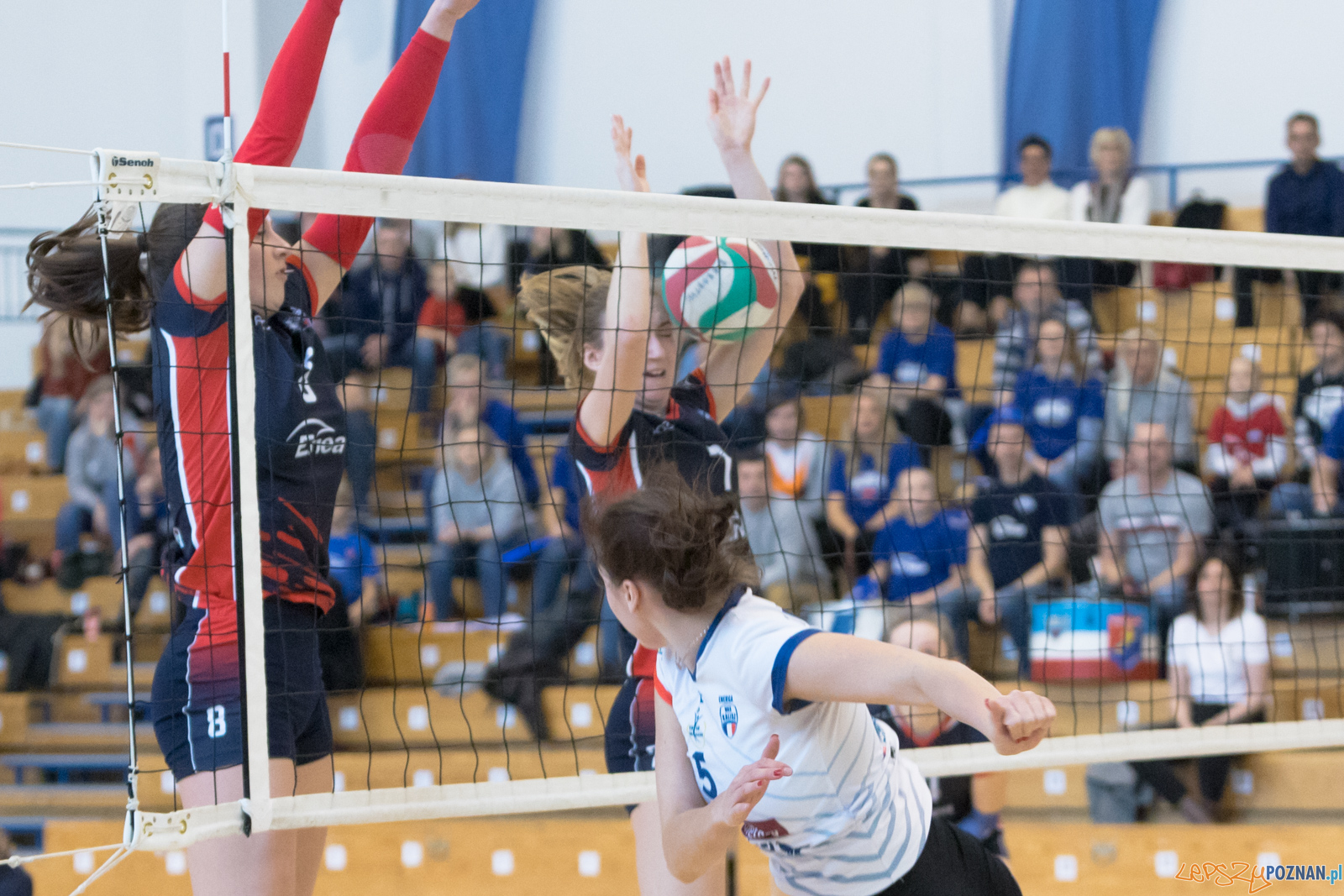 Mistrzostwa Wielkopolski Juniorek - Enea Energetyk Poznań - Ene Foto: lepszyPOZNAN.pl/Piotr Rychter Mistrzostwa Wielkopolski Juniorek - Enea Energetyk Poznań - Ene Foto: lepszyPOZNAN.pl/Piotr Rychter
