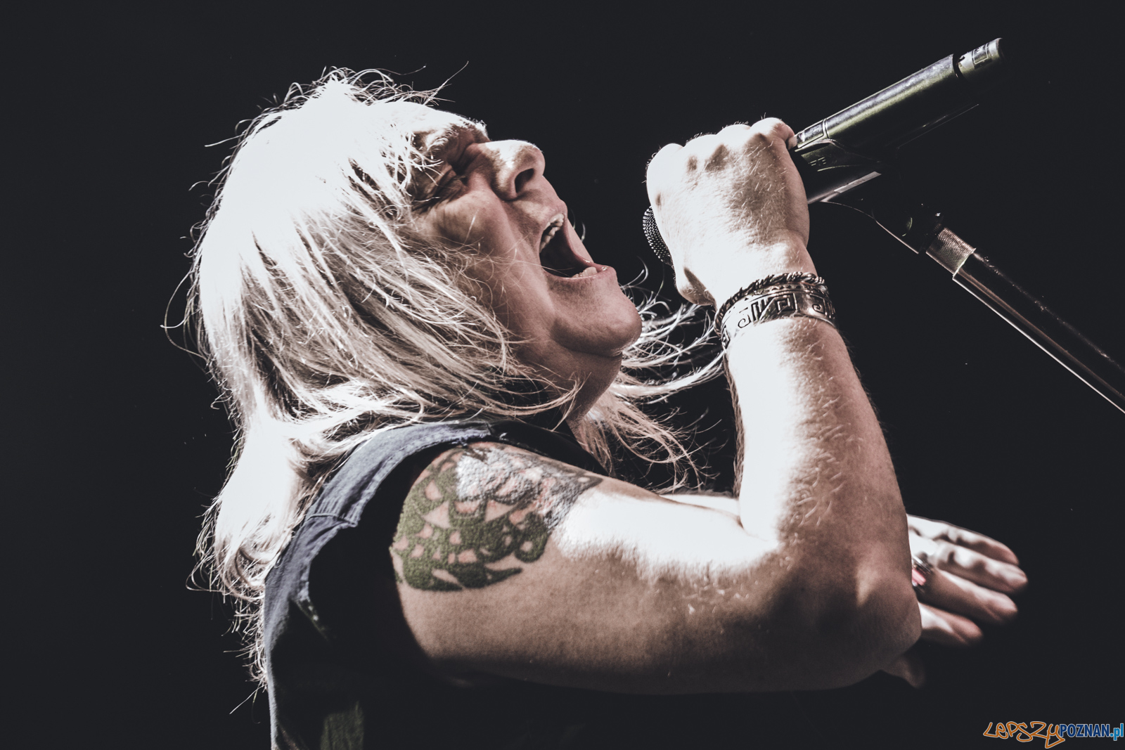 untitled-8012 Foto: Ewelina Jaskowiak untitled-8012 Foto: Ewelina Jaskowiak