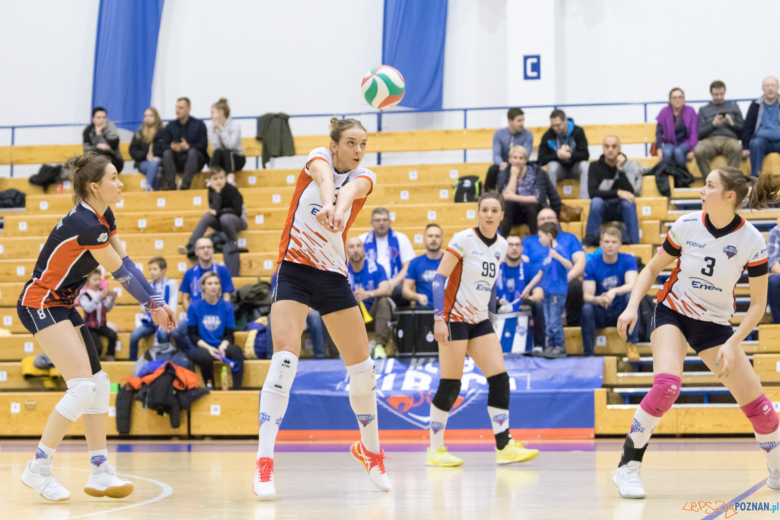 Enea Energetyk Poznań - AZS Politechnika Śląskia Gliwice Foto: lepszyPOZNAN.pl/Piotr Rychter Enea Energetyk Poznań - AZS Politechnika Śląskia Gliwice Foto: lepszyPOZNAN.pl/Piotr Rychter