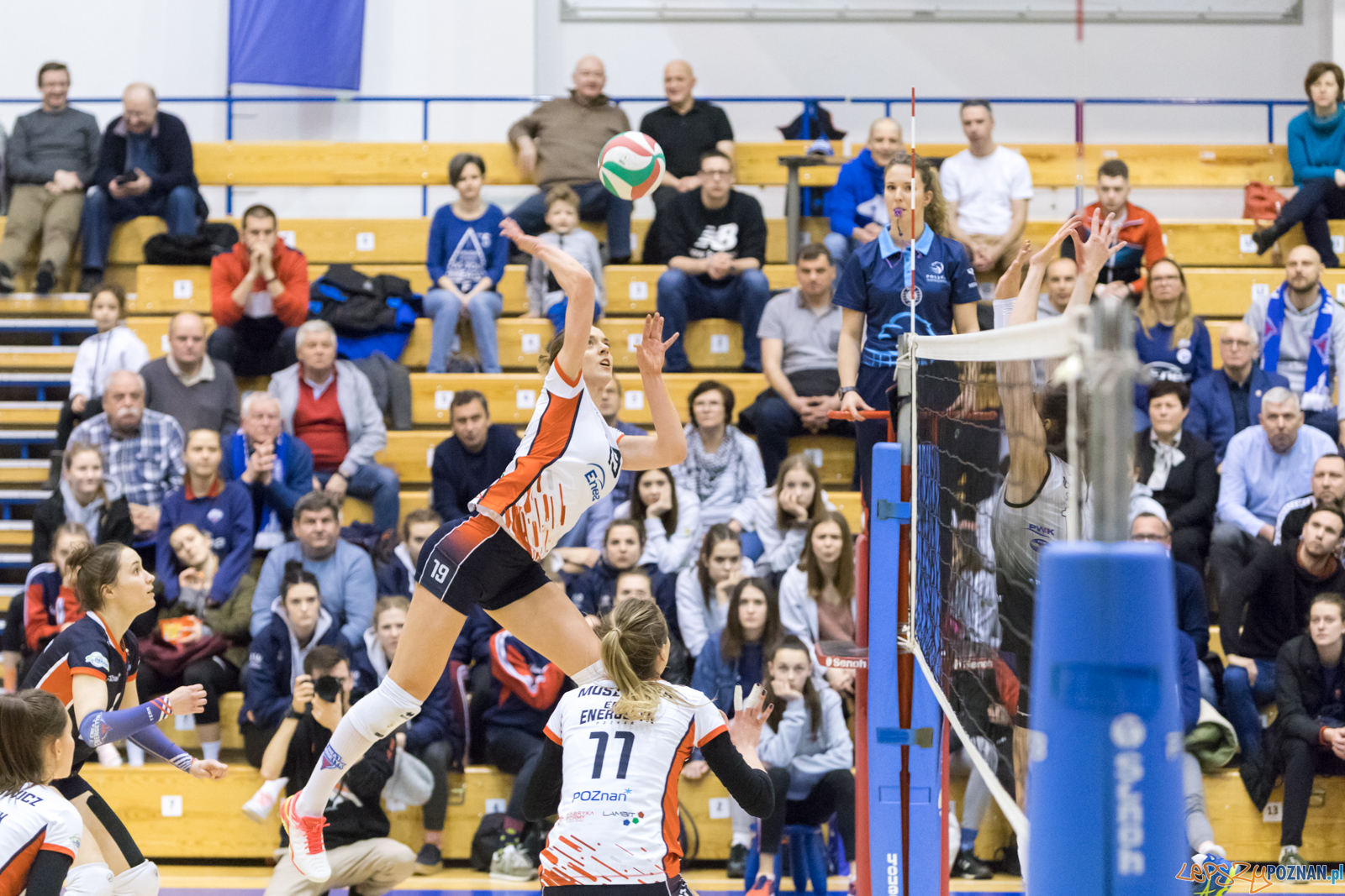 Enea Energetyk Poznań - AZS Politechnika Śląskia Gliwice Foto: lepszyPOZNAN.pl/Piotr Rychter Enea Energetyk Poznań - AZS Politechnika Śląskia Gliwice Foto: lepszyPOZNAN.pl/Piotr Rychter