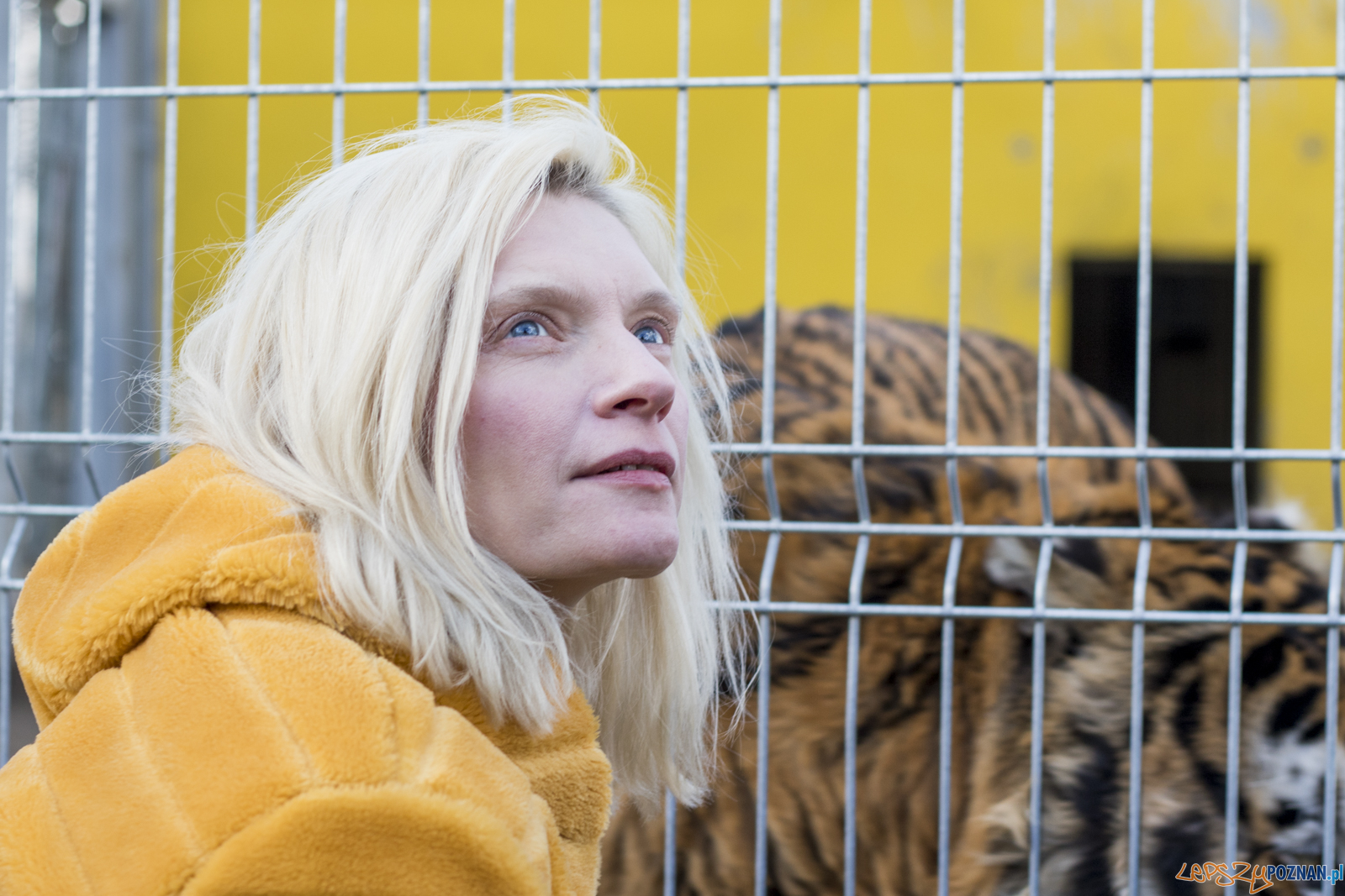 Apel dla Nieumarłych Foto: lepszyPOZNAN.pl / Ewelina Jaśkowiak Apel dla Nieumarłych Foto: lepszyPOZNAN.pl / Ewelina Jaśkowiak