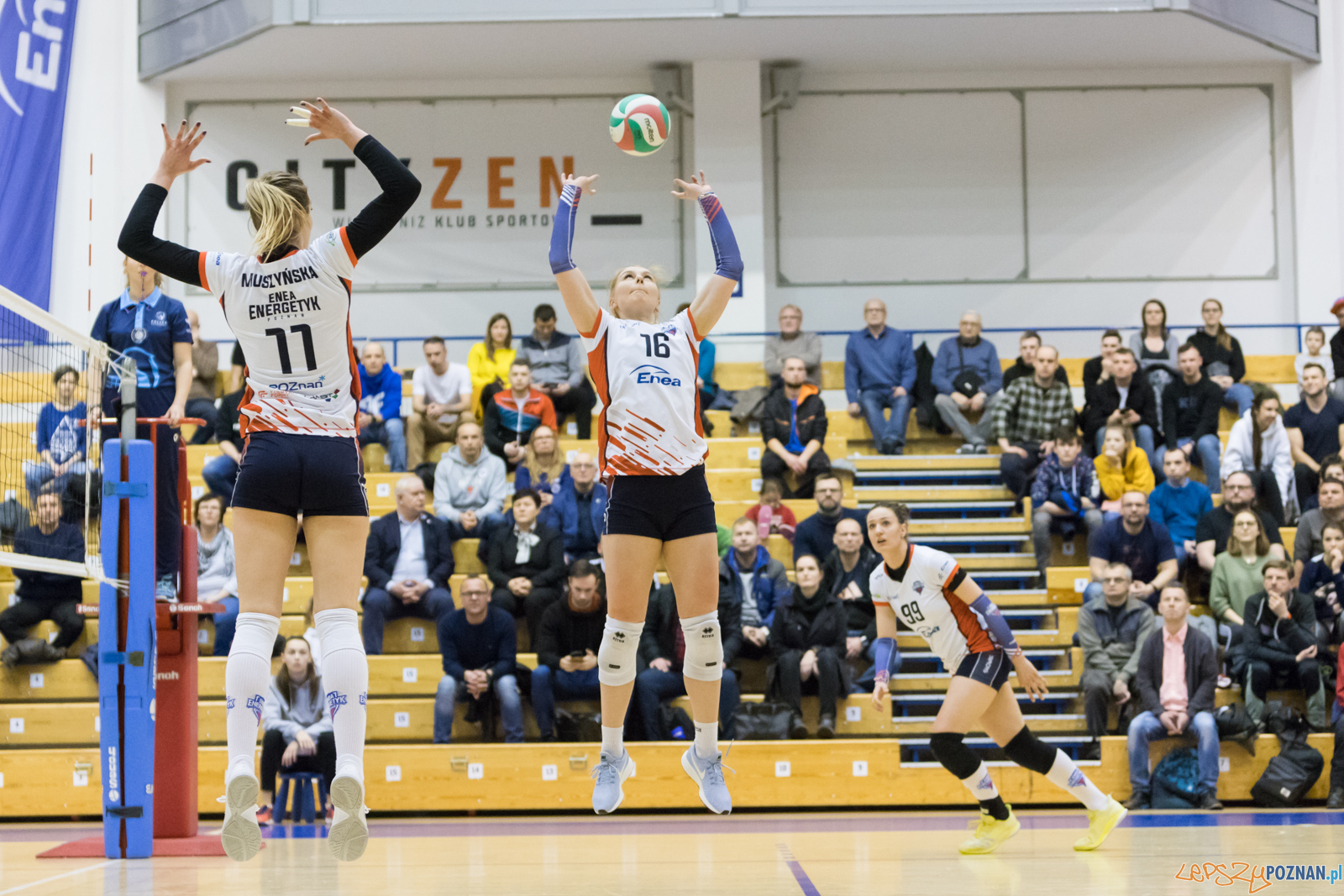 Enea Energetyk Poznań - AZS Politechnika Śląskia Gliwice Foto: lepszyPOZNAN.pl/Piotr Rychter Enea Energetyk Poznań - AZS Politechnika Śląskia Gliwice Foto: lepszyPOZNAN.pl/Piotr Rychter