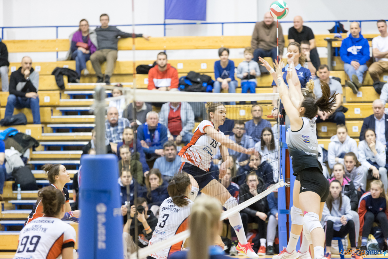 Enea Energetyk Poznań - AZS Politechnika Śląskia Gliwice Foto: lepszyPOZNAN.pl/Piotr Rychter Enea Energetyk Poznań - AZS Politechnika Śląskia Gliwice Foto: lepszyPOZNAN.pl/Piotr Rychter