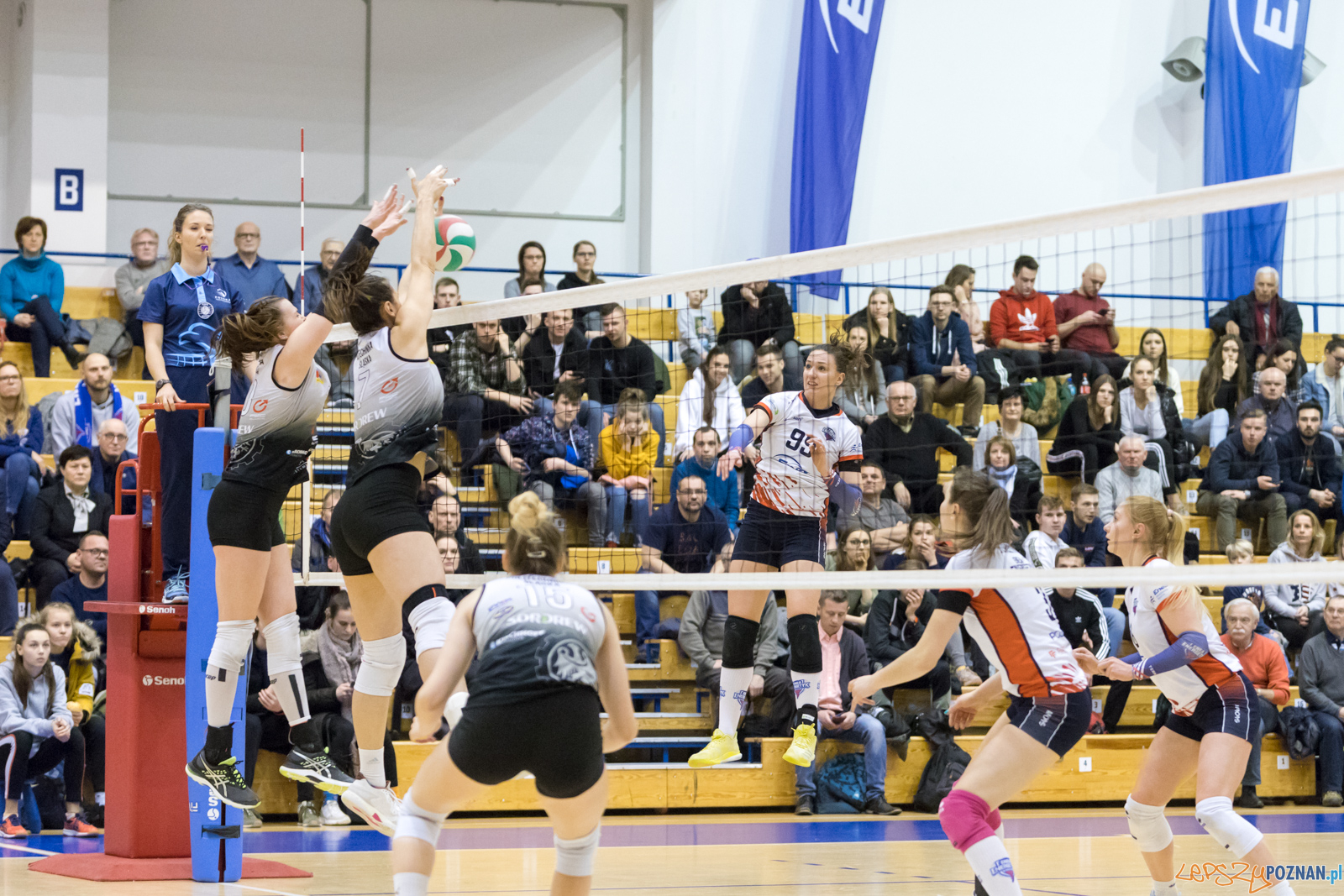 Enea Energetyk Poznań - AZS Politechnika Śląskia Gliwice Foto: lepszyPOZNAN.pl/Piotr Rychter Enea Energetyk Poznań - AZS Politechnika Śląskia Gliwice Foto: lepszyPOZNAN.pl/Piotr Rychter