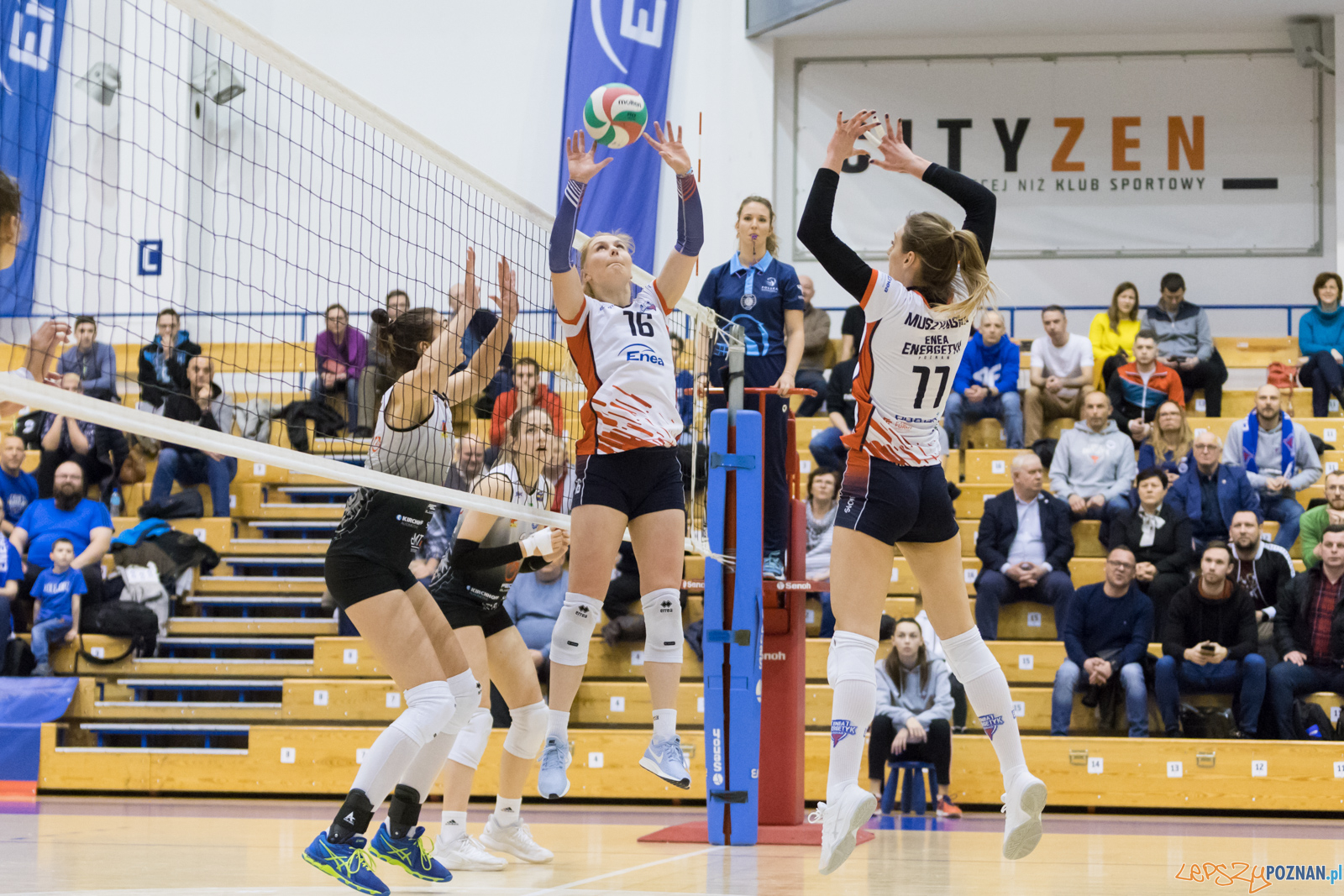 Enea Energetyk Poznań - AZS Politechnika Śląskia Gliwice Foto: lepszyPOZNAN.pl/Piotr Rychter Enea Energetyk Poznań - AZS Politechnika Śląskia Gliwice Foto: lepszyPOZNAN.pl/Piotr Rychter