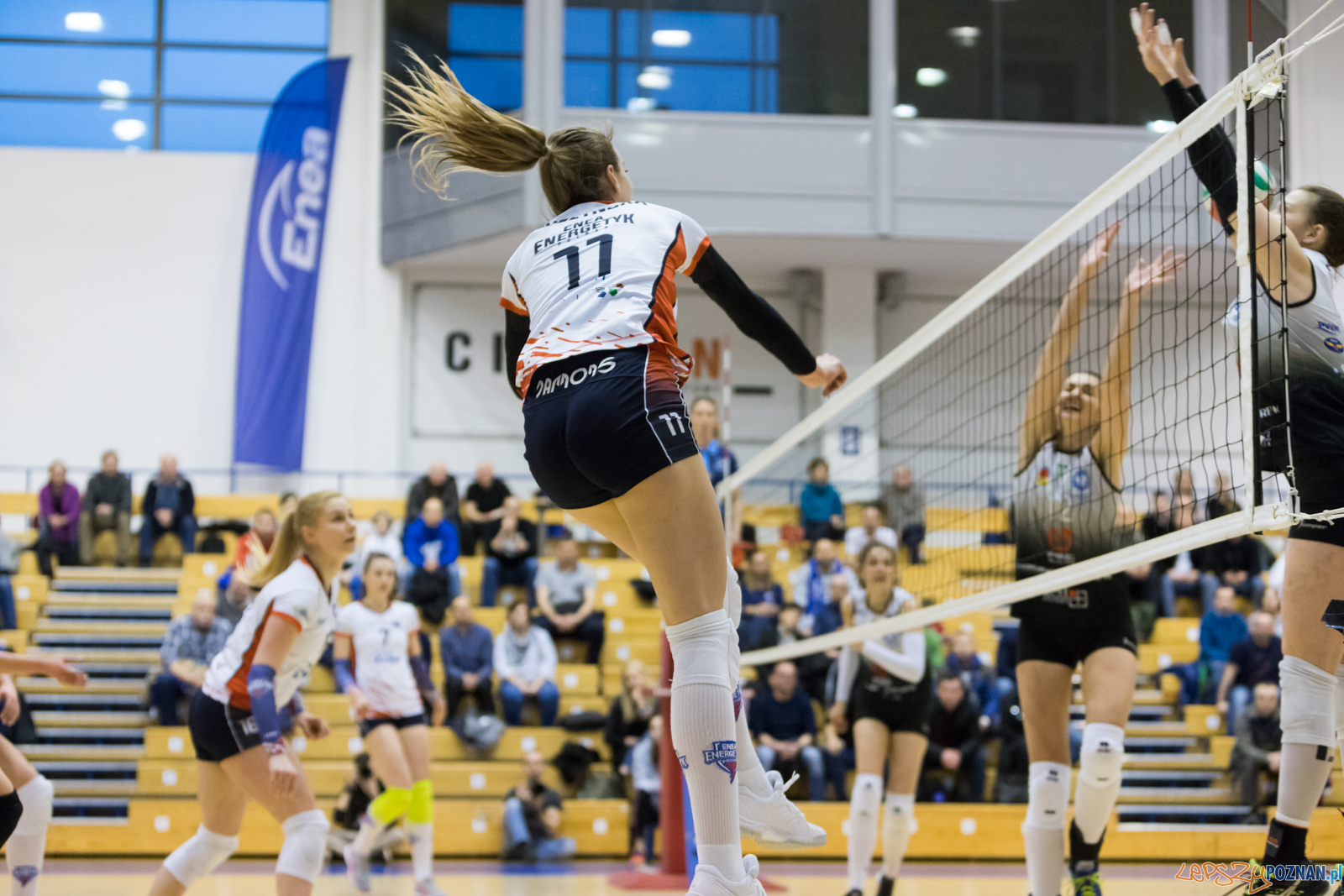 Enea Energetyk Poznań - AZS Politechnika Śląskia Gliwice Foto: lepszyPOZNAN.pl/Piotr Rychter Enea Energetyk Poznań - AZS Politechnika Śląskia Gliwice Foto: lepszyPOZNAN.pl/Piotr Rychter