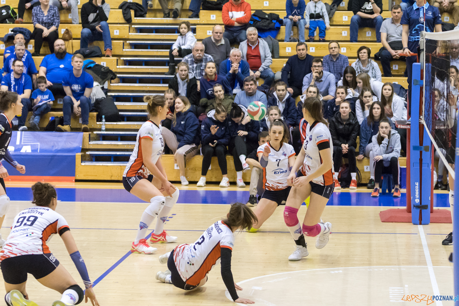 Enea Energetyk Poznań - AZS Politechnika Śląskia Gliwice Foto: lepszyPOZNAN.pl/Piotr Rychter Enea Energetyk Poznań - AZS Politechnika Śląskia Gliwice Foto: lepszyPOZNAN.pl/Piotr Rychter