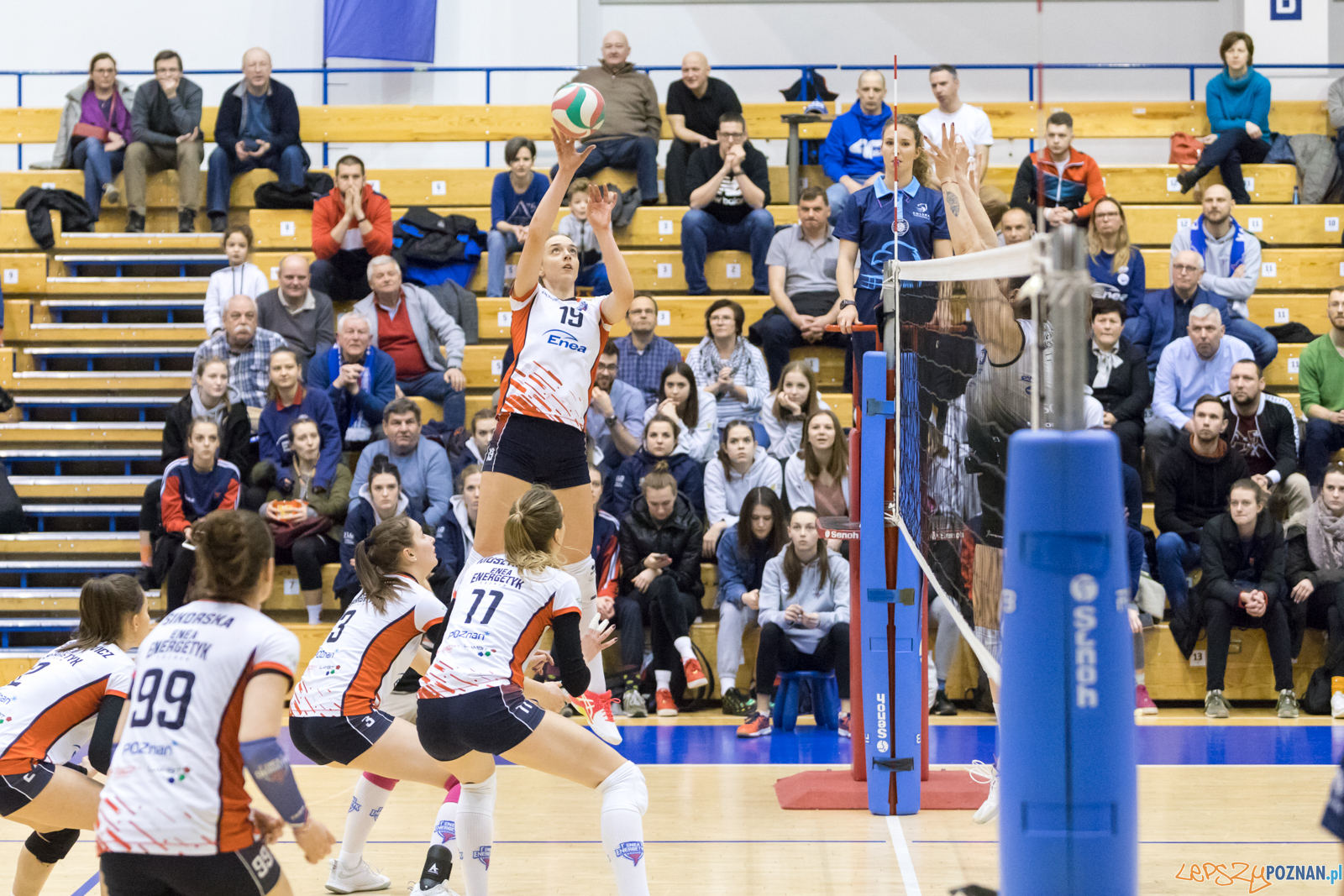 Enea Energetyk Poznań - AZS Politechnika Śląskia Gliwice Foto: lepszyPOZNAN.pl/Piotr Rychter Enea Energetyk Poznań - AZS Politechnika Śląskia Gliwice Foto: lepszyPOZNAN.pl/Piotr Rychter
