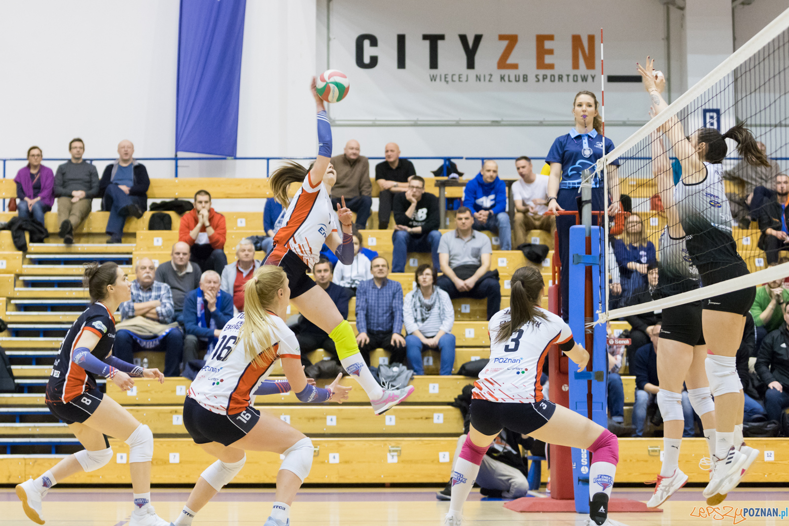 Enea Energetyk Poznań - AZS Politechnika Śląskia Gliwice Foto: lepszyPOZNAN.pl/Piotr Rychter Enea Energetyk Poznań - AZS Politechnika Śląskia Gliwice Foto: lepszyPOZNAN.pl/Piotr Rychter