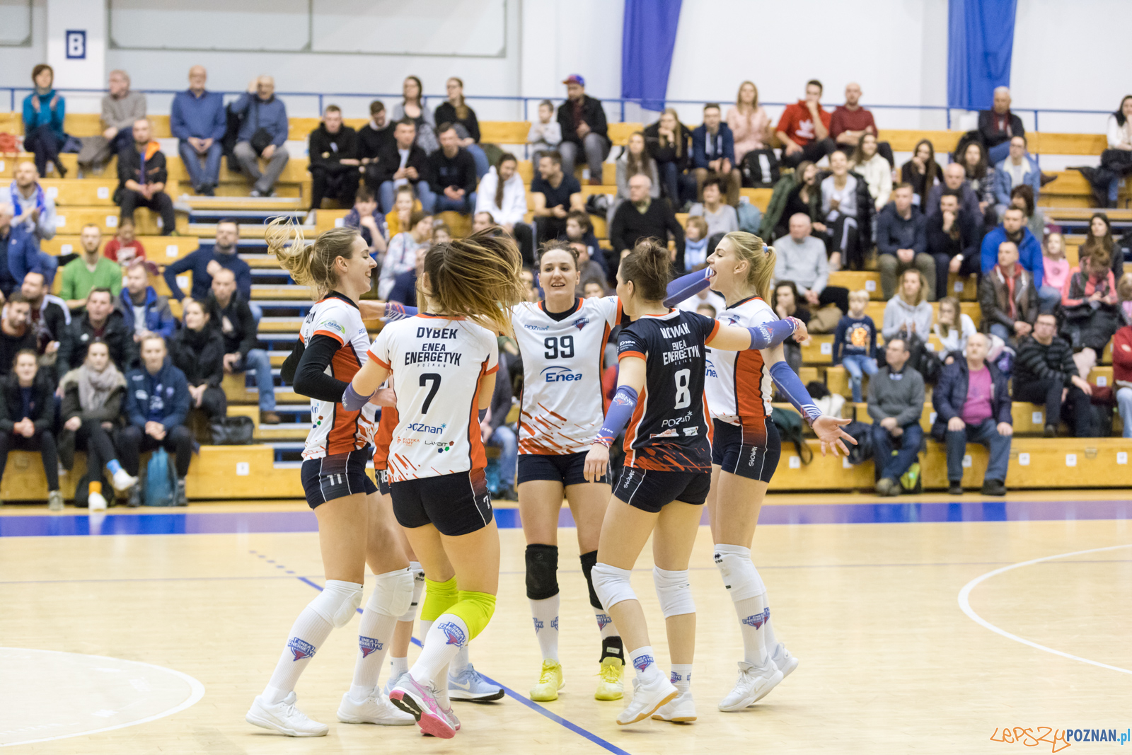 Enea Energetyk Poznań - AZS Politechnika Śląskia Gliwice Foto: lepszyPOZNAN.pl/Piotr Rychter Enea Energetyk Poznań - AZS Politechnika Śląskia Gliwice Foto: lepszyPOZNAN.pl/Piotr Rychter