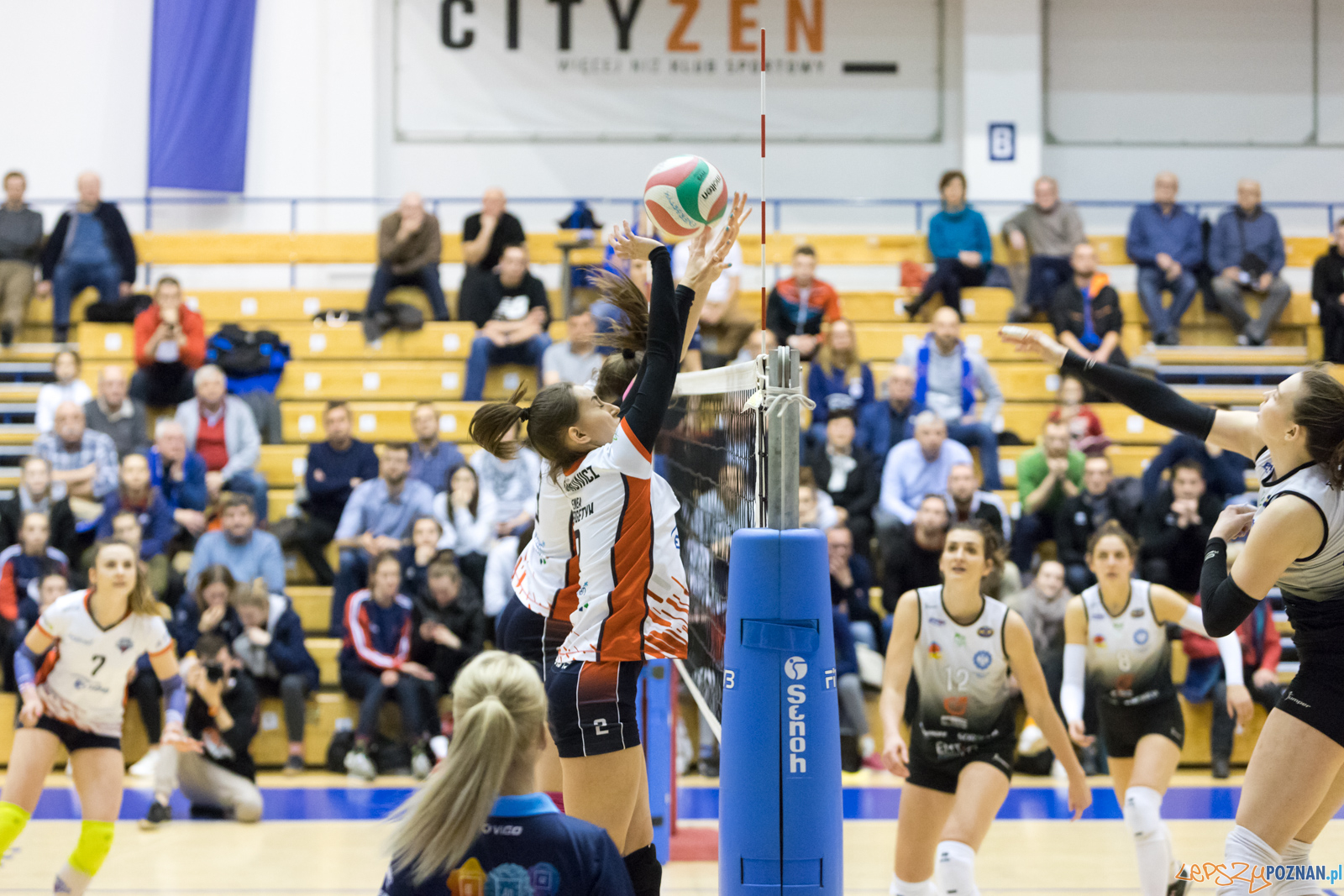 Enea Energetyk Poznań - AZS Politechnika Śląskia Gliwice Foto: lepszyPOZNAN.pl/Piotr Rychter Enea Energetyk Poznań - AZS Politechnika Śląskia Gliwice Foto: lepszyPOZNAN.pl/Piotr Rychter