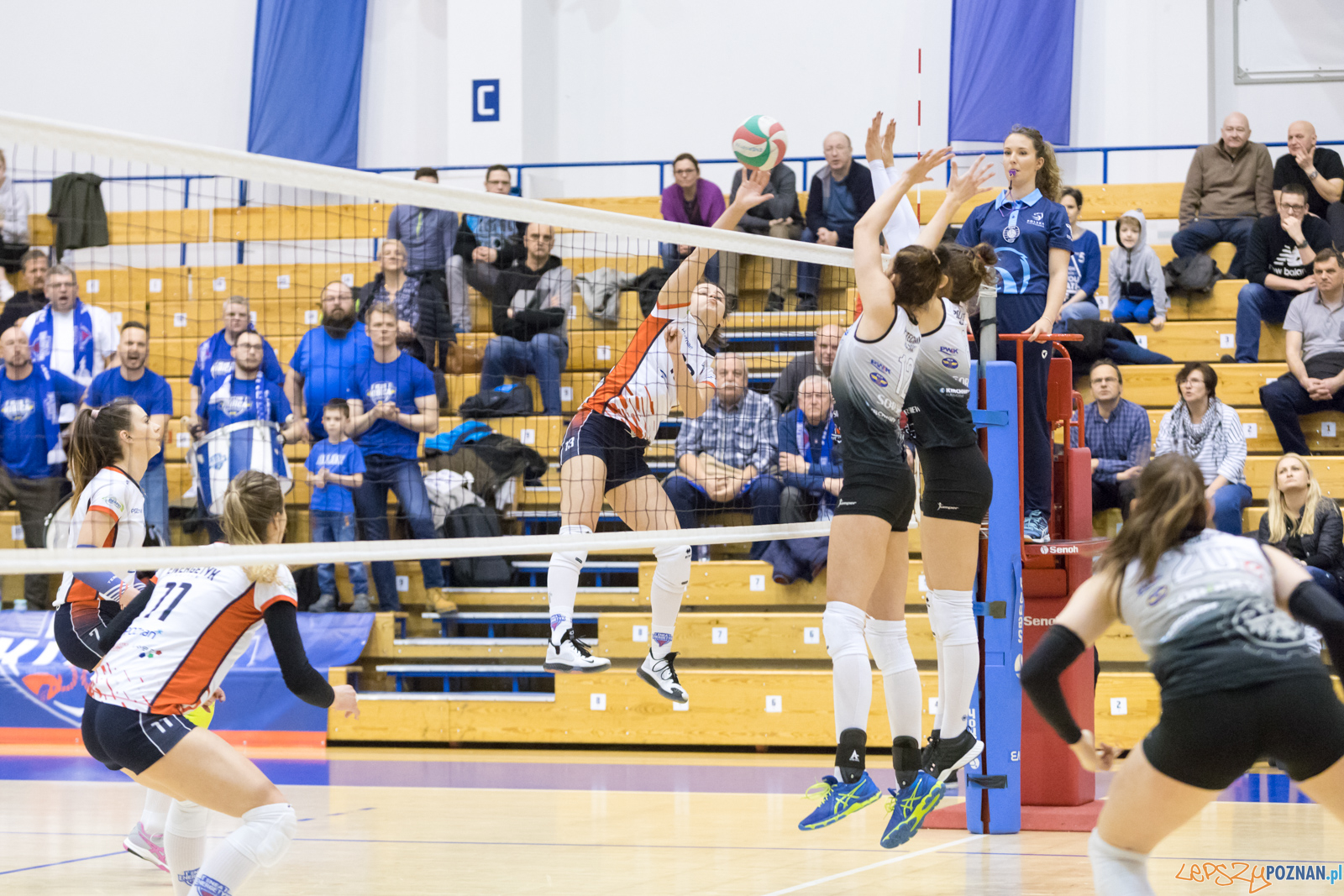 Enea Energetyk Poznań - AZS Politechnika Śląskia Gliwice Foto: lepszyPOZNAN.pl/Piotr Rychter Enea Energetyk Poznań - AZS Politechnika Śląskia Gliwice Foto: lepszyPOZNAN.pl/Piotr Rychter