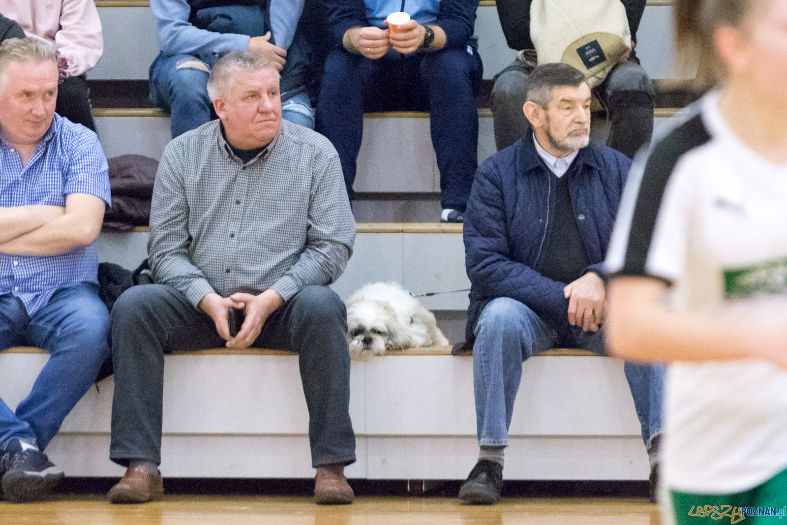 AZS UAM POZNAŃ Futsal Kobiet - BTS Rekord Foto: lepszyPOZNAN.pl/Piotr Rychter AZS UAM POZNAŃ Futsal Kobiet - BTS Rekord Foto: lepszyPOZNAN.pl/Piotr Rychter