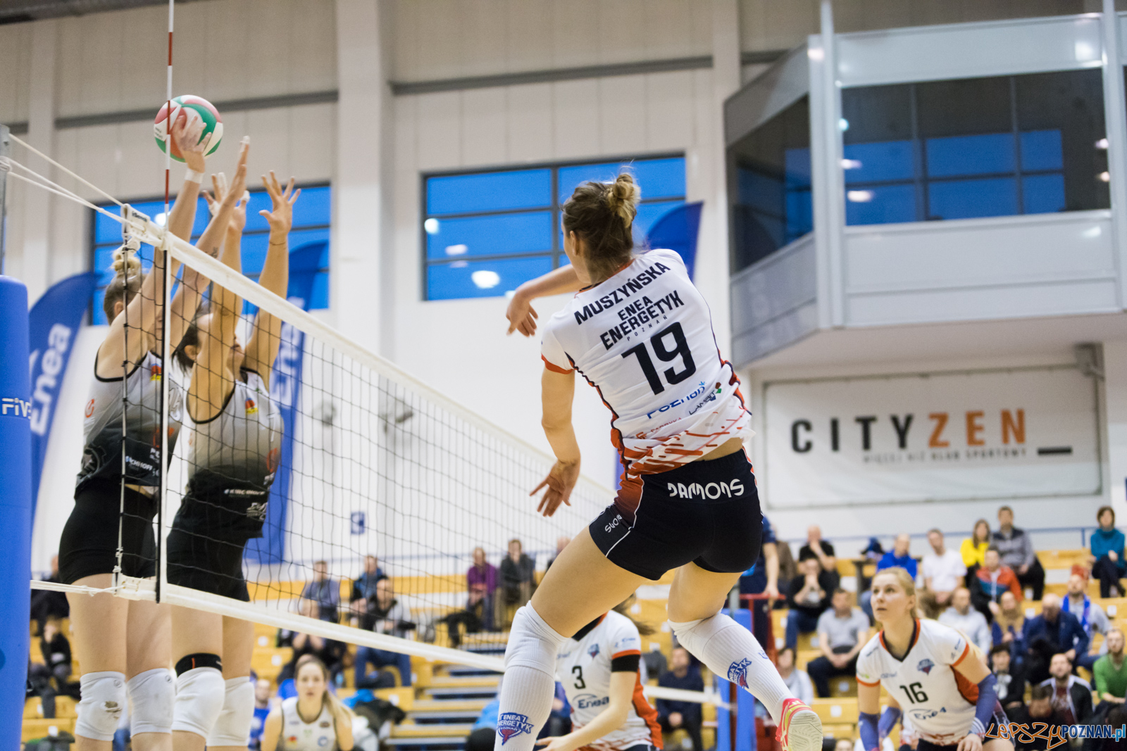 Enea Energetyk Poznań - AZS Politechnika Śląskia Gliwice Foto: lepszyPOZNAN.pl/Piotr Rychter Enea Energetyk Poznań - AZS Politechnika Śląskia Gliwice Foto: lepszyPOZNAN.pl/Piotr Rychter